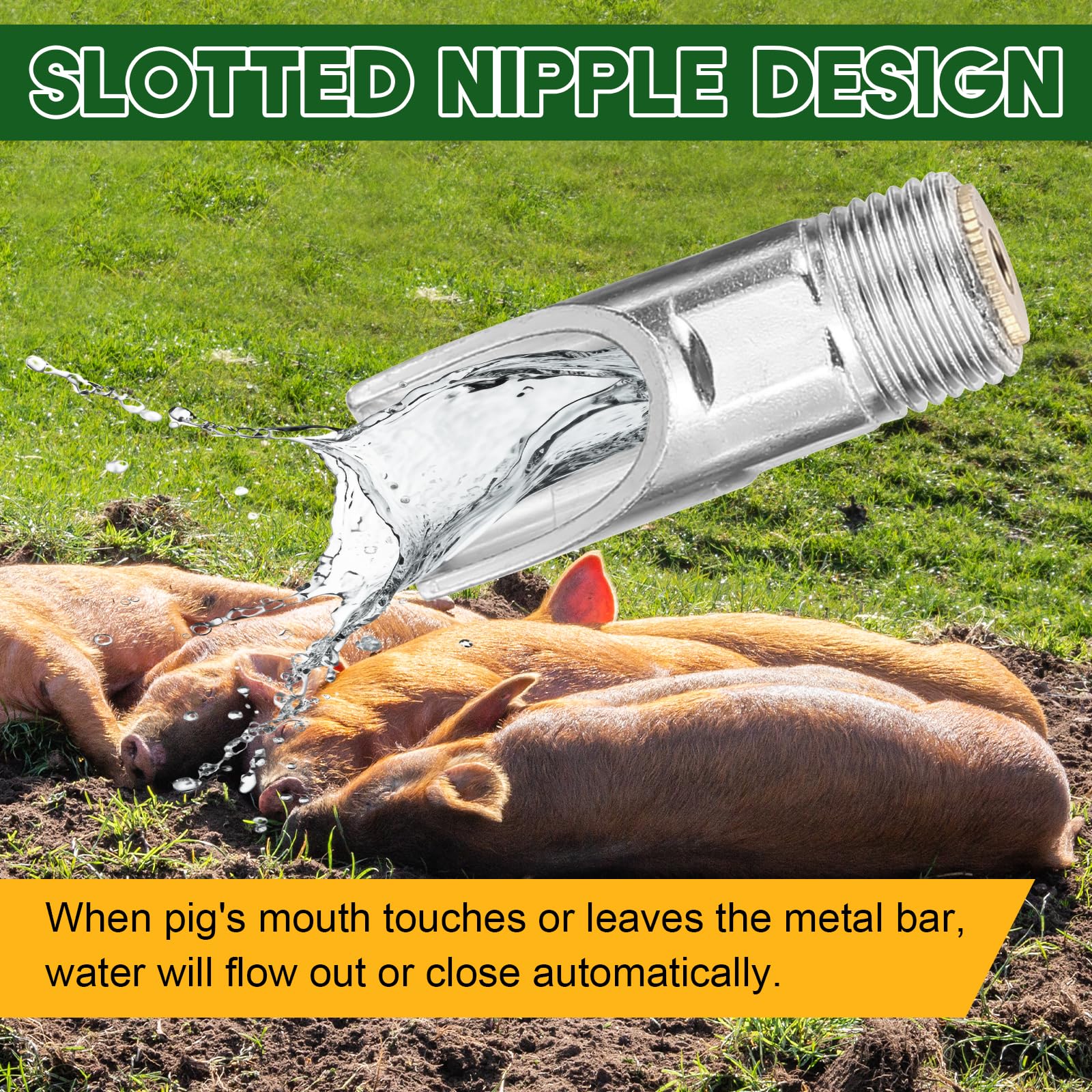 MAOPINER Alimentadores automáticos de acero inoxidable para pezón de cerdo para lechones y otros animales pequeños suministros para animales de granja - NPT 1/2" (20)