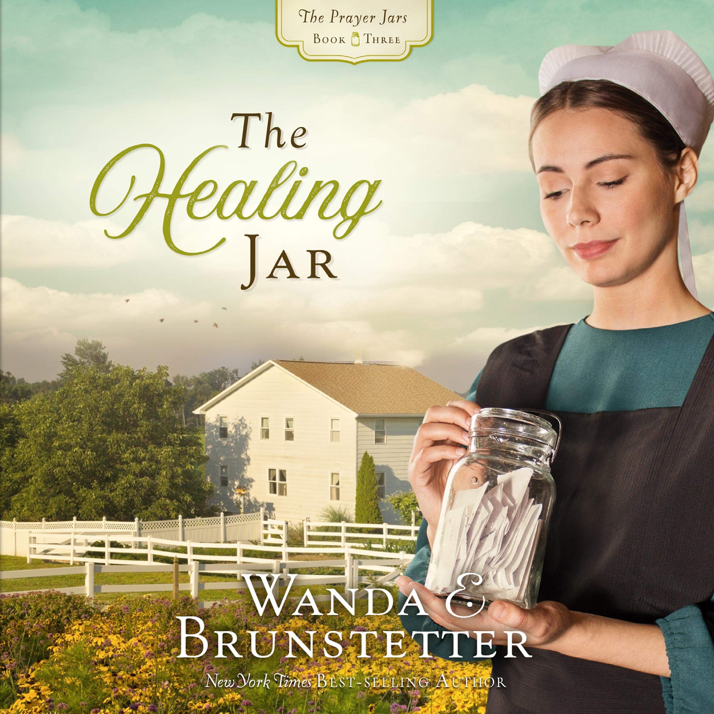 Cover art for The Healing Jar