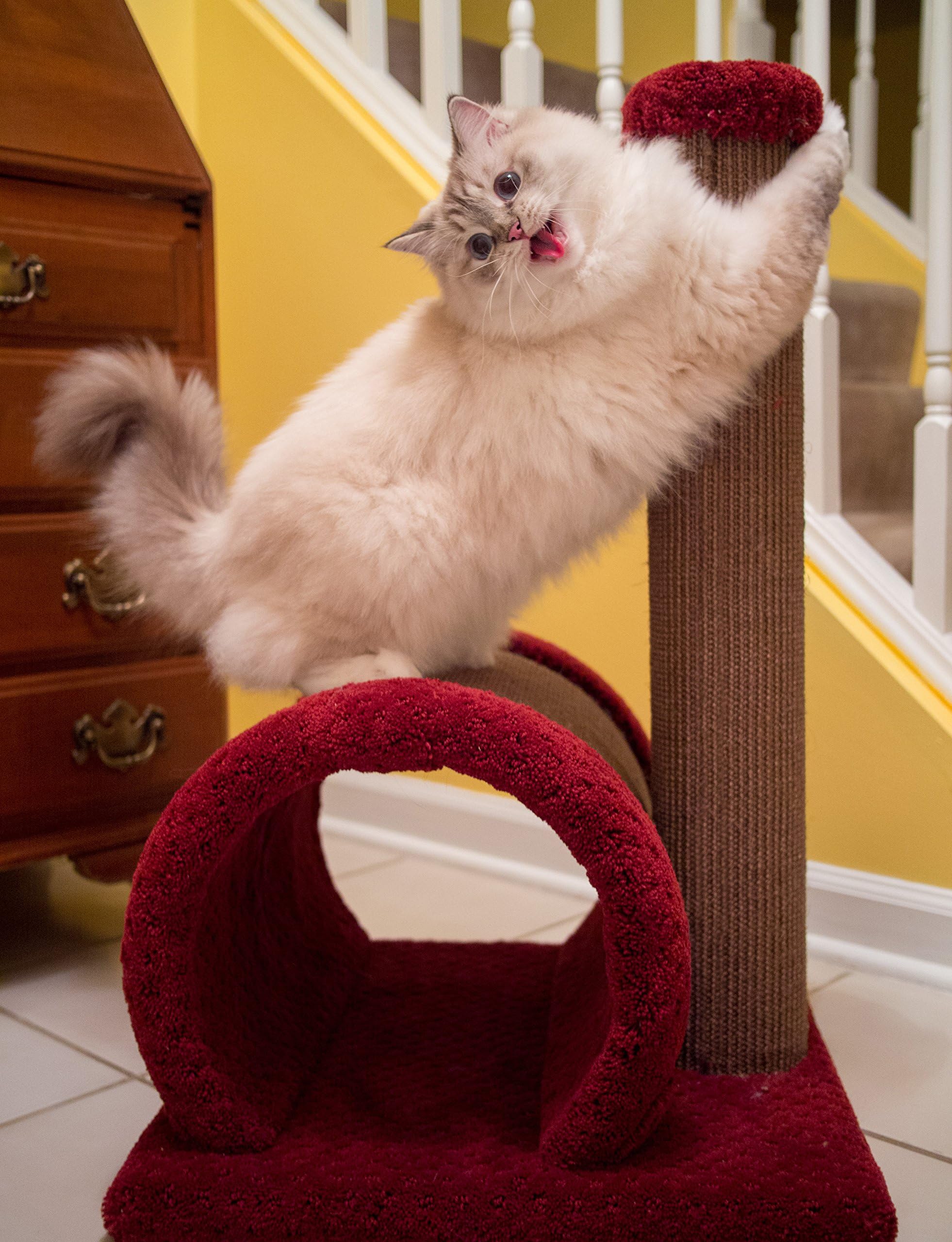 Royal Cat Boutique Hide N' Scratch Luxury Cat Scratcher Neutral/Tan