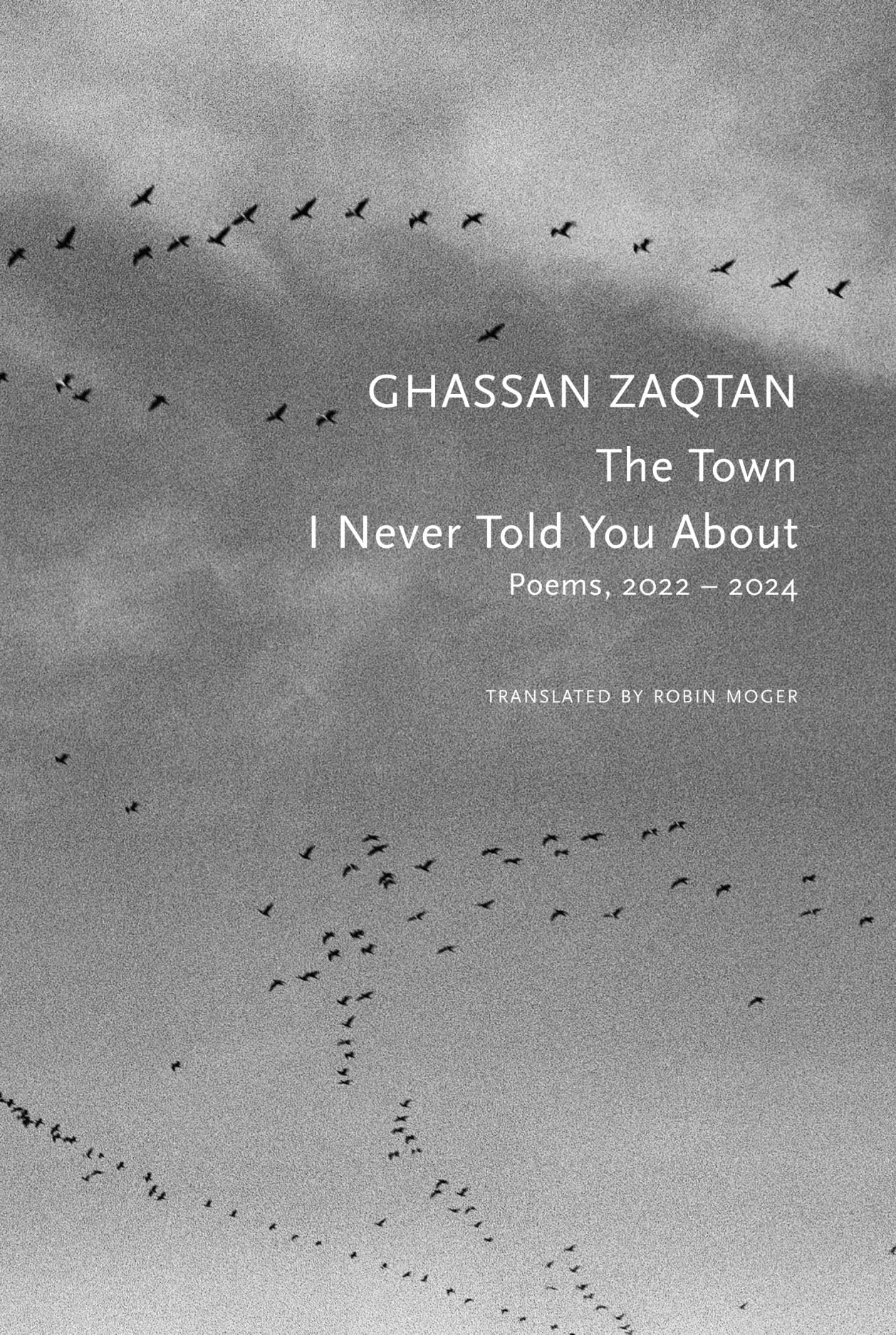 The Town I Never Told You About: Poems, 2022–2024 (The Arab List)
