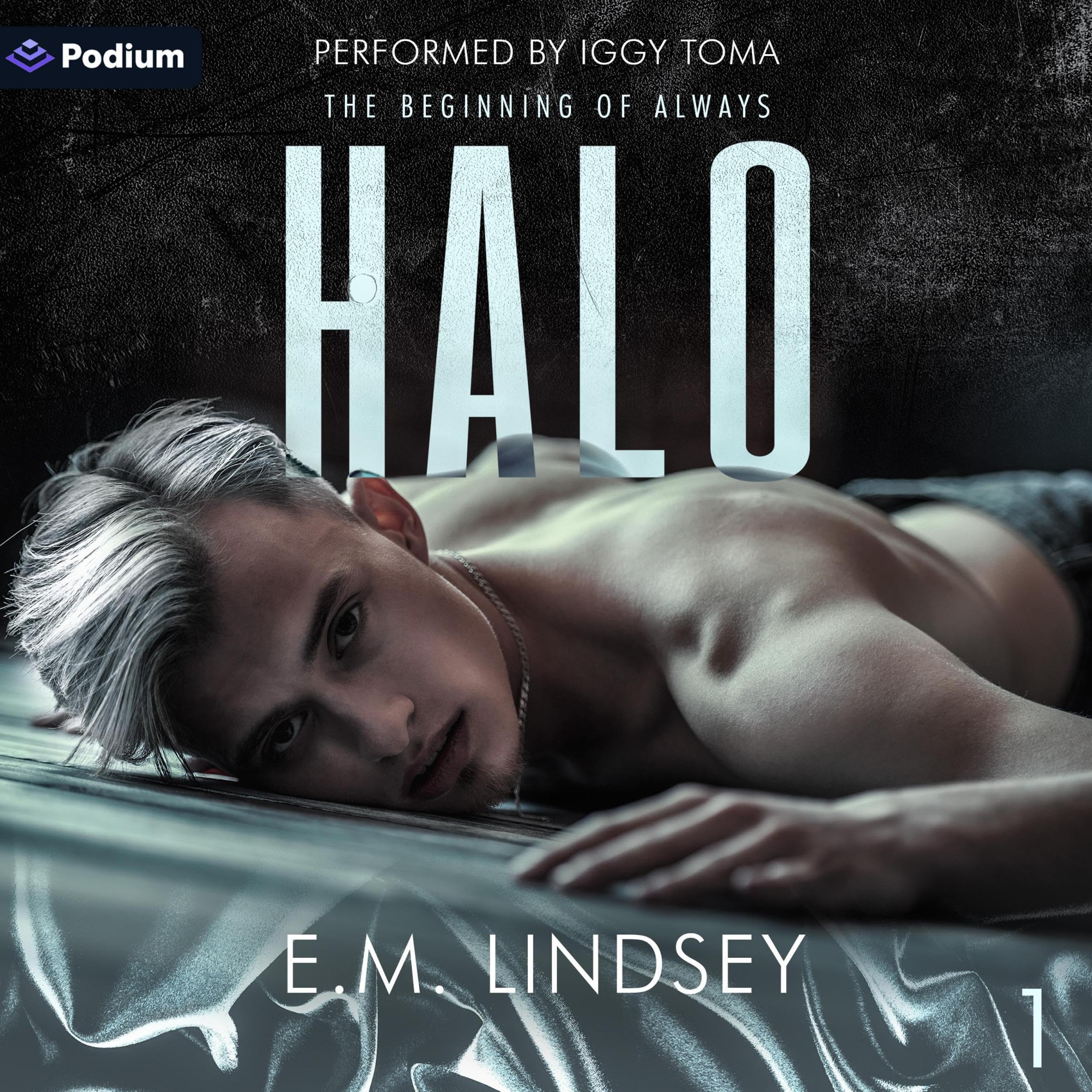 Cover art for Halo