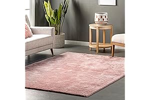 nuLOOM Loni Dusty Rose Shag Area Rug