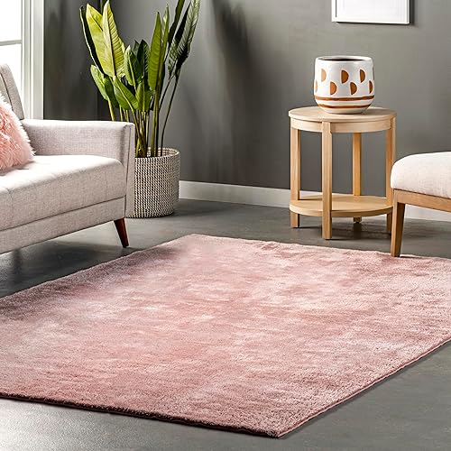 nuLOOM Alfombra de felpa acogedora de 2 x 3 pies, lavable a máquina, antideslizante, suave y esponjosa para sala de estar, dormitorio, habitación de