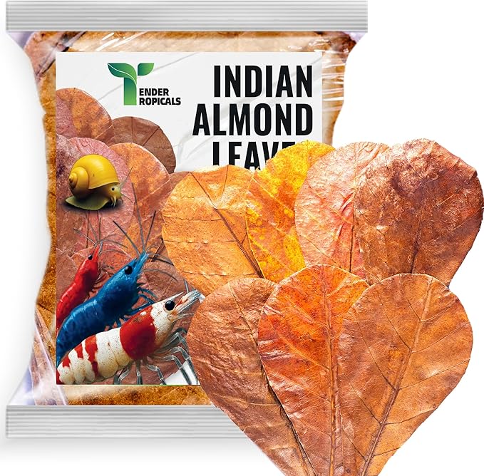 Shrimp Tank Accessories Indian Almond Leaves for Shrimps,Snails,Crayfish 10 Pack, 6” Dried Catappa Leaves for Aquariums, Betta Fish, Breeding Tanks, Neocardina,Cherry,Amano,Ghost Shrimp Natural Hides