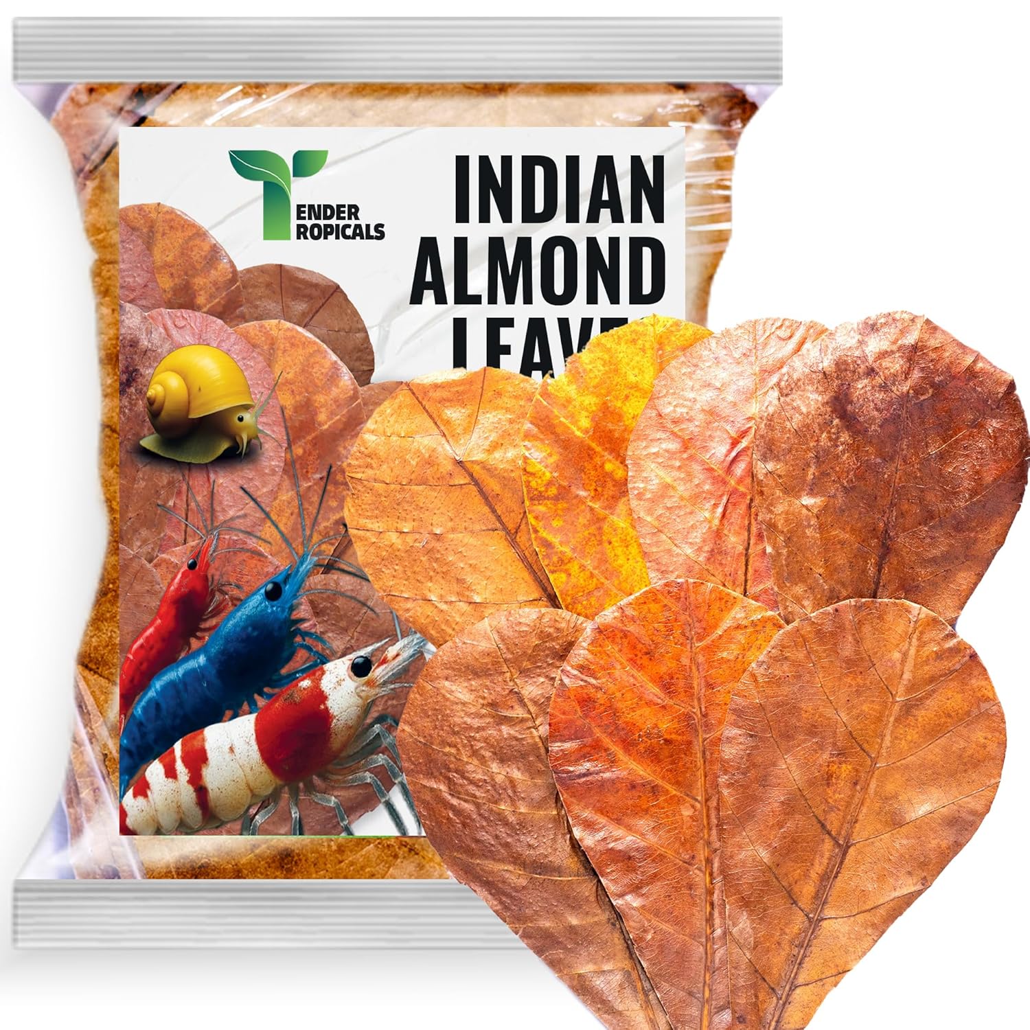 Shrimp Tank Accessories Indian Almond Leaves for Shrimps,Snails,Crayfish 10 Pack, 6” Dried Catappa Leaves for Aquariums, Betta Fish, Breeding Tanks,...