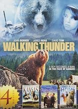 4-Movie Family Adventure Collection, Vol. 1: Walking Thunder / Kansas (1995) / Legend of the Ruby Silver / Long Road Home