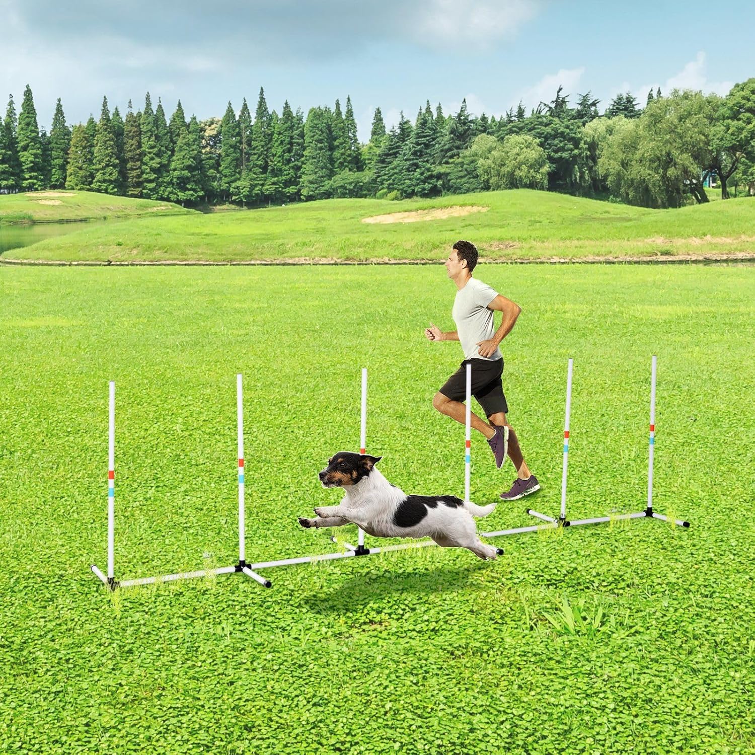 Dog Weave Poles Agility Set for Training & Exercise