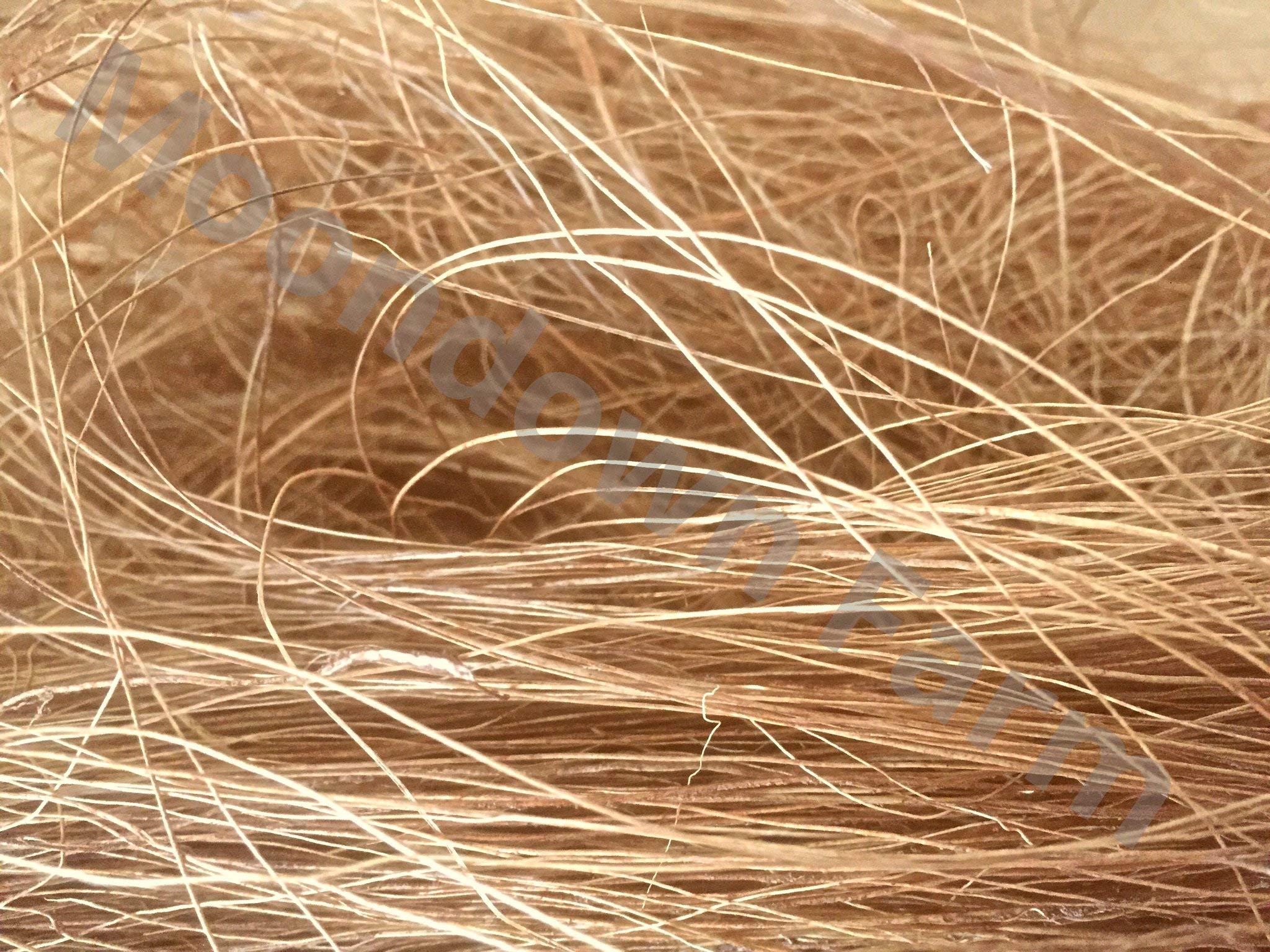 Bird Nesting Material Coconut Husk Fibre Bundle For Finches and Exotics