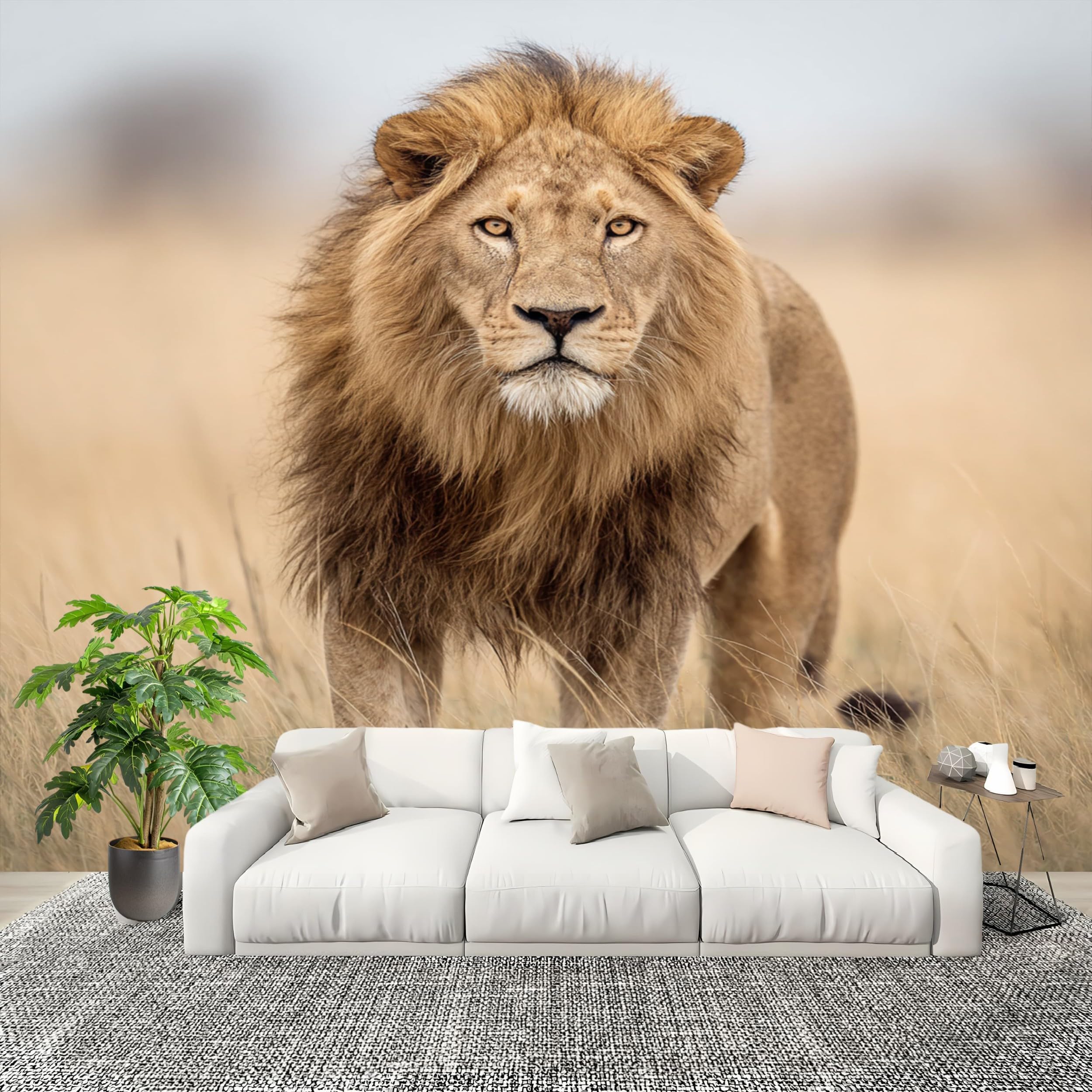 Papier peint panoramique lion pour habiller un grand mur vide de chambre ou salon