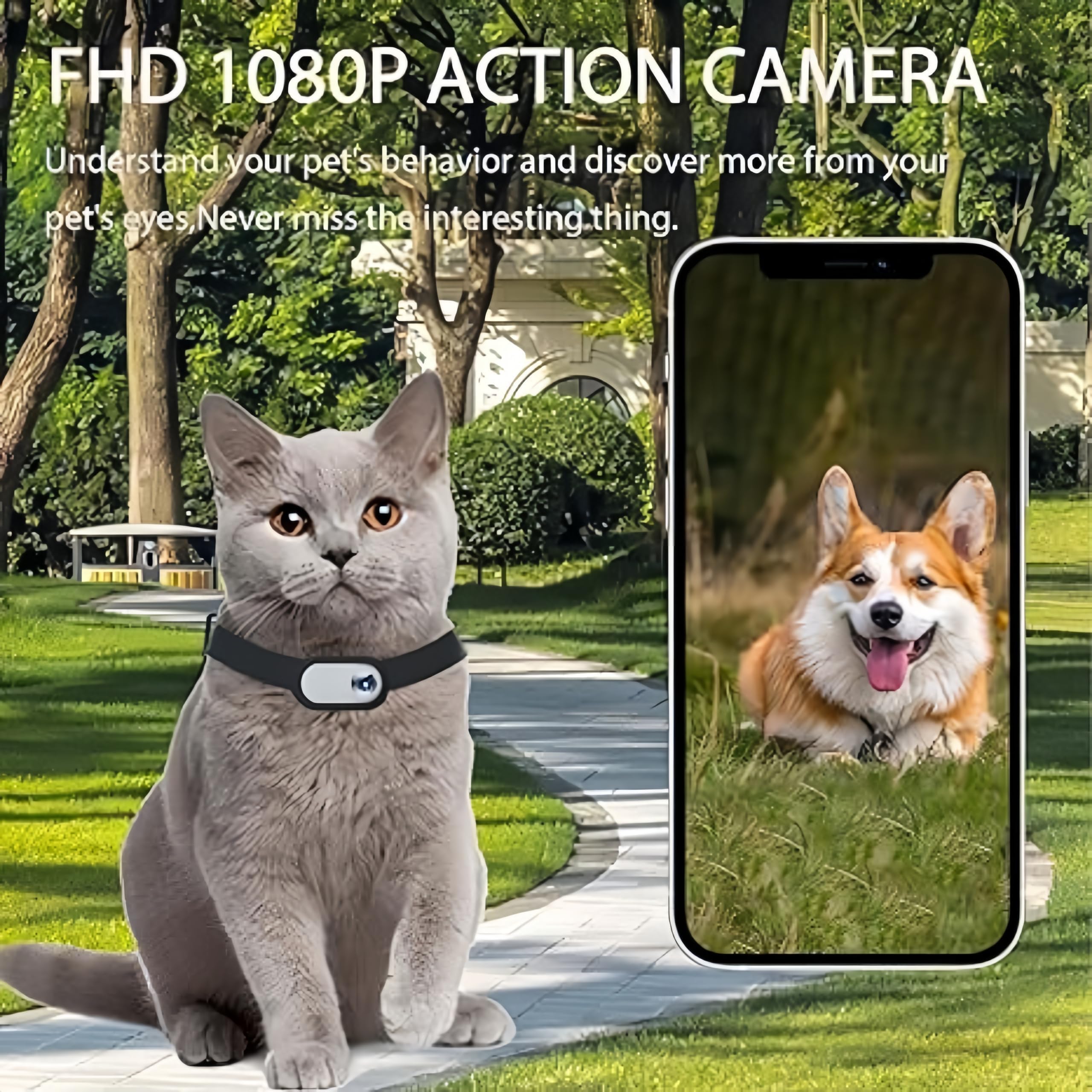 2026 Katzen Kamera Halsband, 170 Weitwinkel Tracking Katzen Kamera, Cat Camera Collar Für Katzen USB-Ladekabel Einstellbares PET-Kamerahalsband Für Hunde Und Katzen (schwarz)