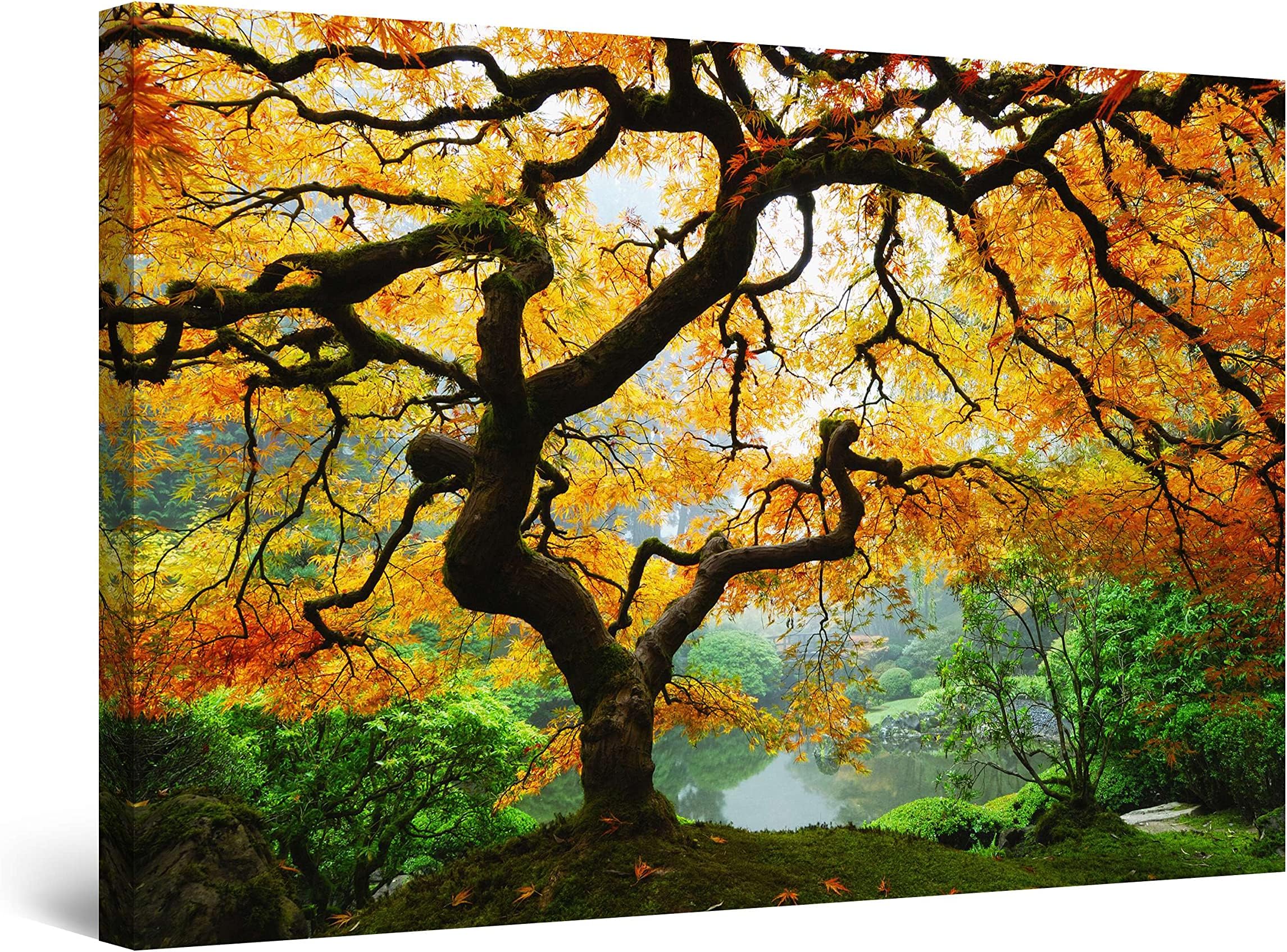 Startonight Wall Art Canvas Maple Tree, Nature USA Framed 24 x 36 Inches