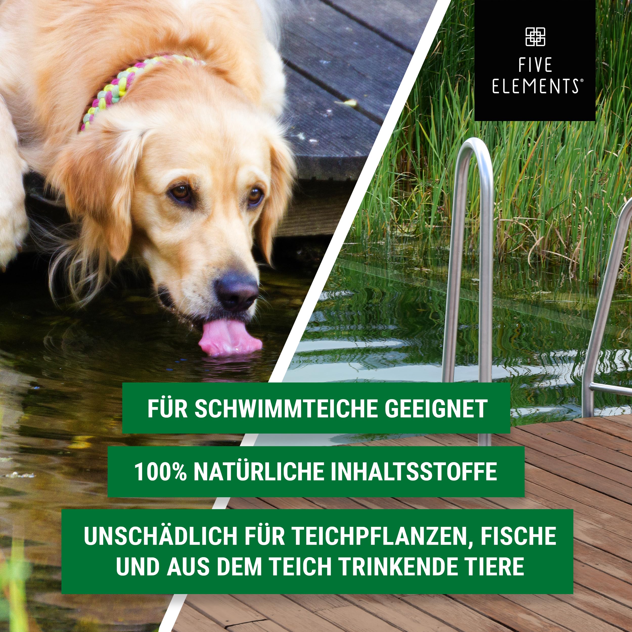 FIVE ELEMENTS Bio-Teichschlammentferner | 2,5 L | ideal für Frühjahr | 2026: Verbesserte Wirkung | Teichwasser-Klärung | flüssig