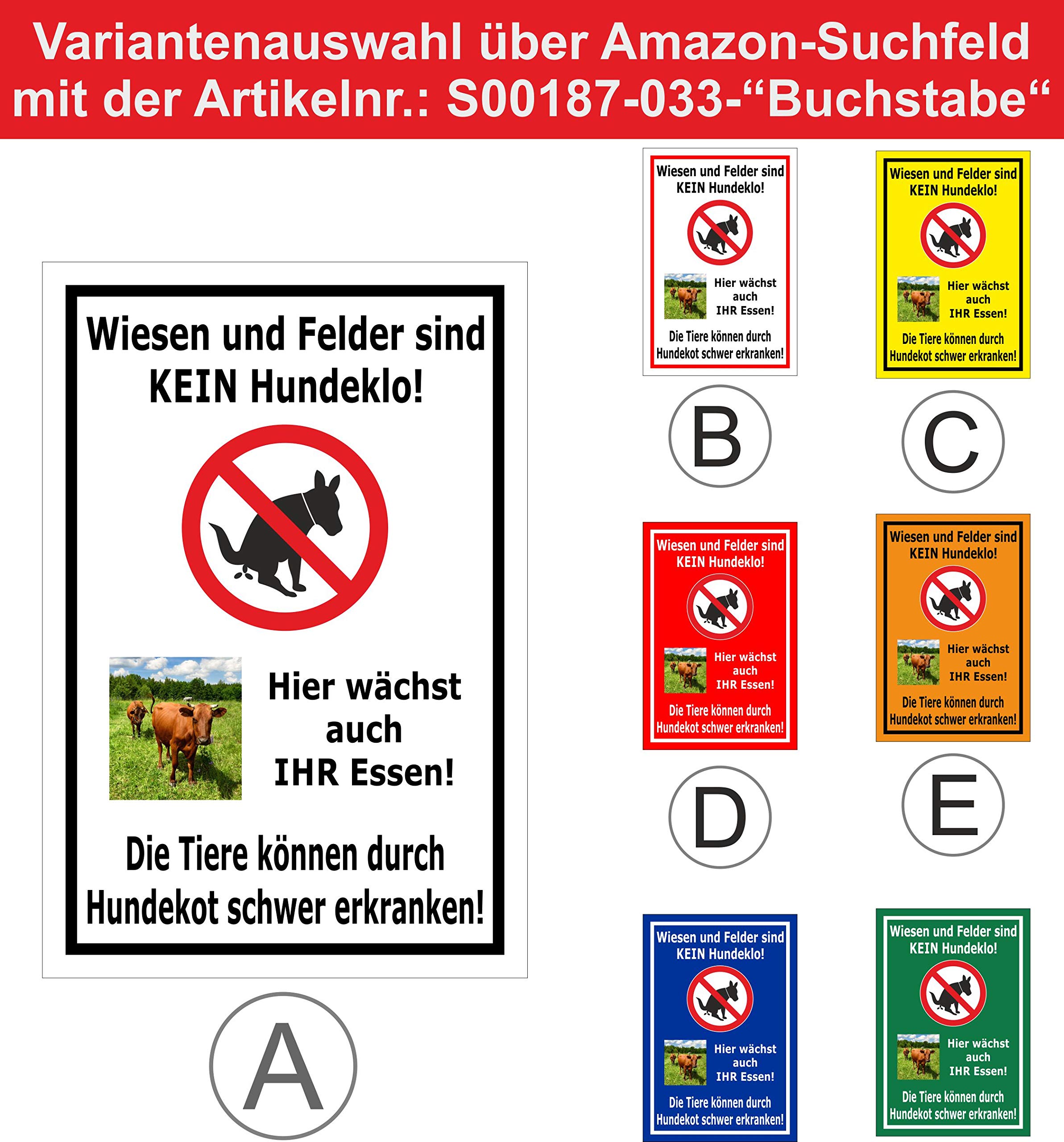 Wagon Voyageur à 6 Places POLA G - Modèle Ferroviaire Fini échelle G (1:22.5), Neuf