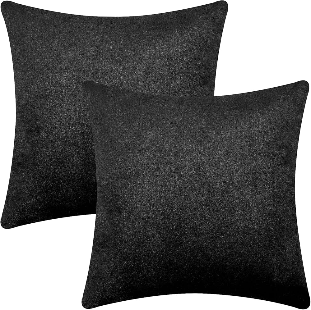 teddy bear dog puppies for sale near me