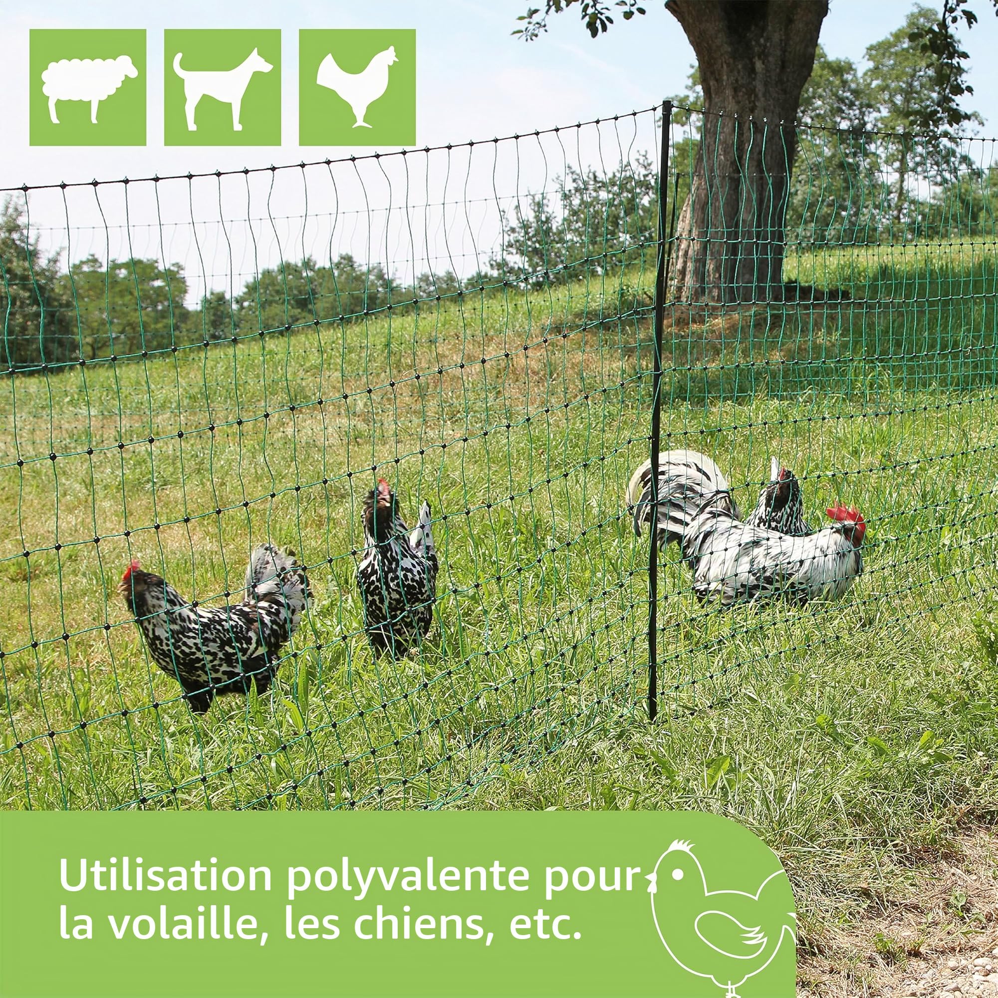 Kerbl Hobbyfarming PoultryNet, 106 cm, 25 m, Filet pour volailles, Filet de clôture, impuissant, Double Pointe, Vert, 8 piquets, Poules, oies, dindes, Garantie 3 Ans Contre Les UV