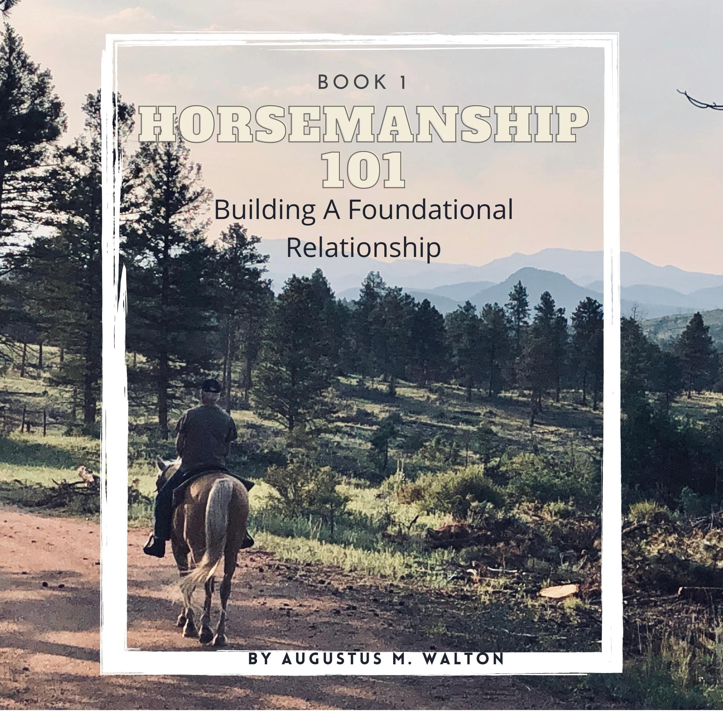 Cover art for Horsemanship 101