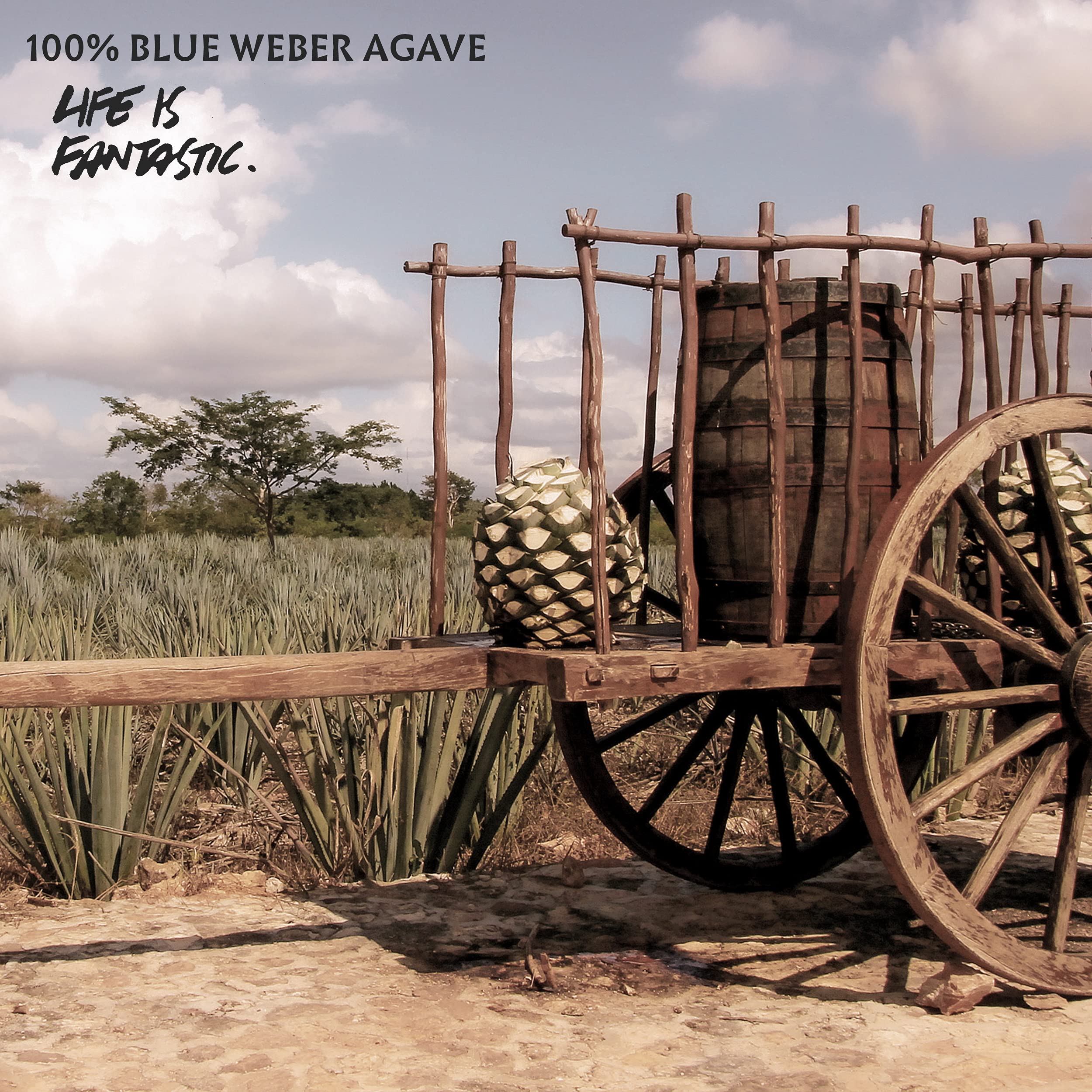 Padre Azul Tequila Reposado 40% 0,7l • Tequila Premium Made in Mexico • Un Tequila Reposado molto liscio per un divertimento puro