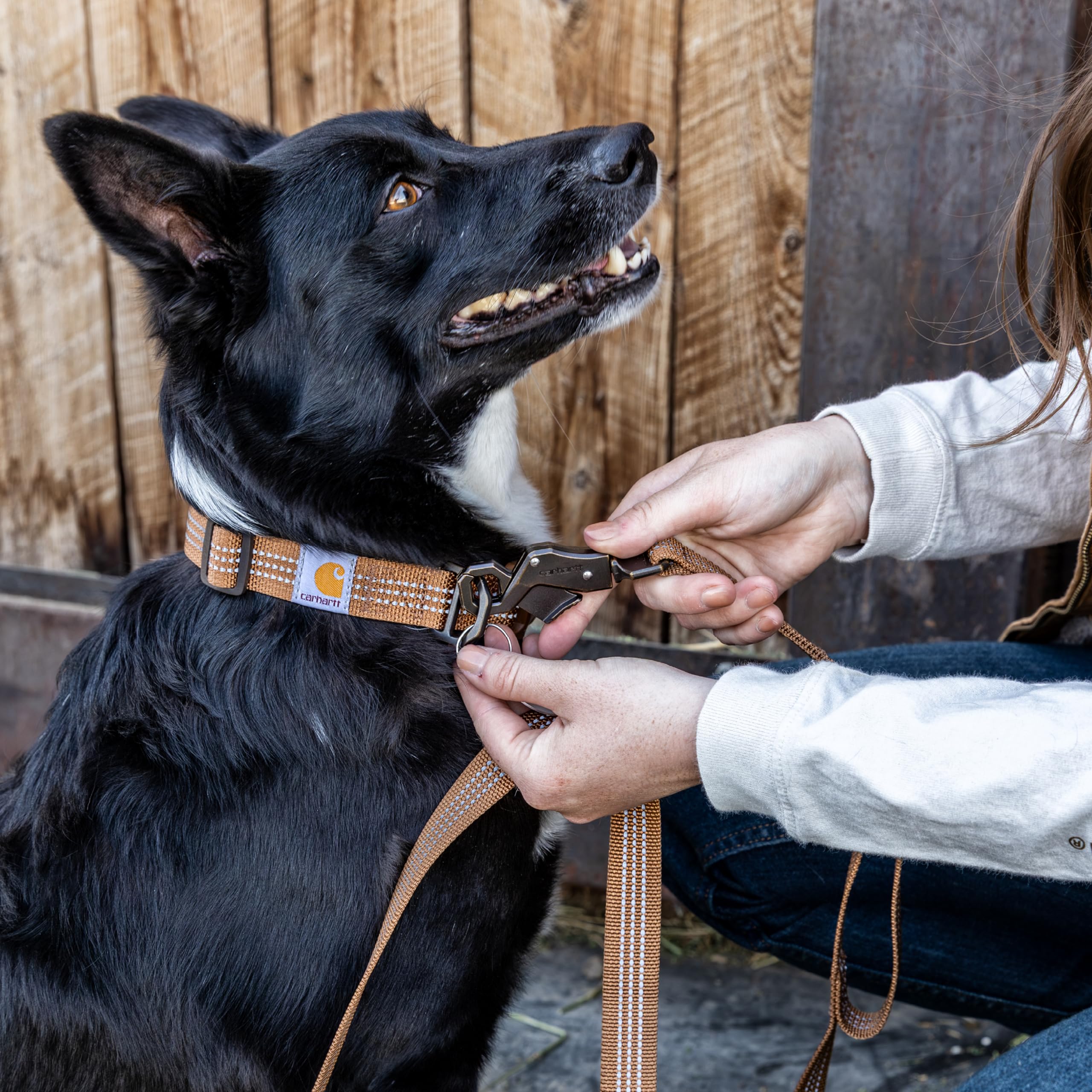 Amazon | Carhartt Gear P0000570 デュアルハンドル 犬用リード ラージ