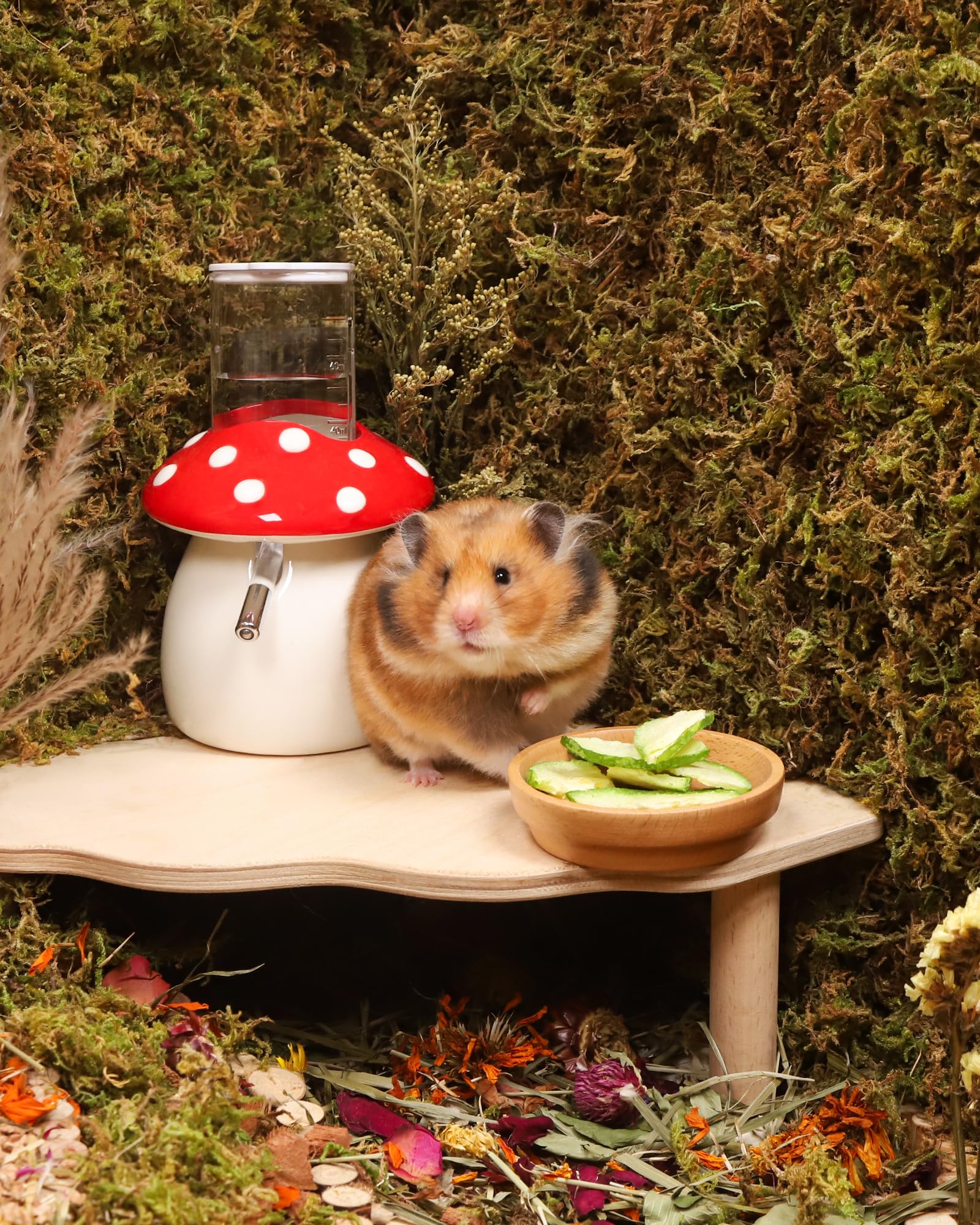 Niteangel Hamster Snack & Treats Toy - Image 4