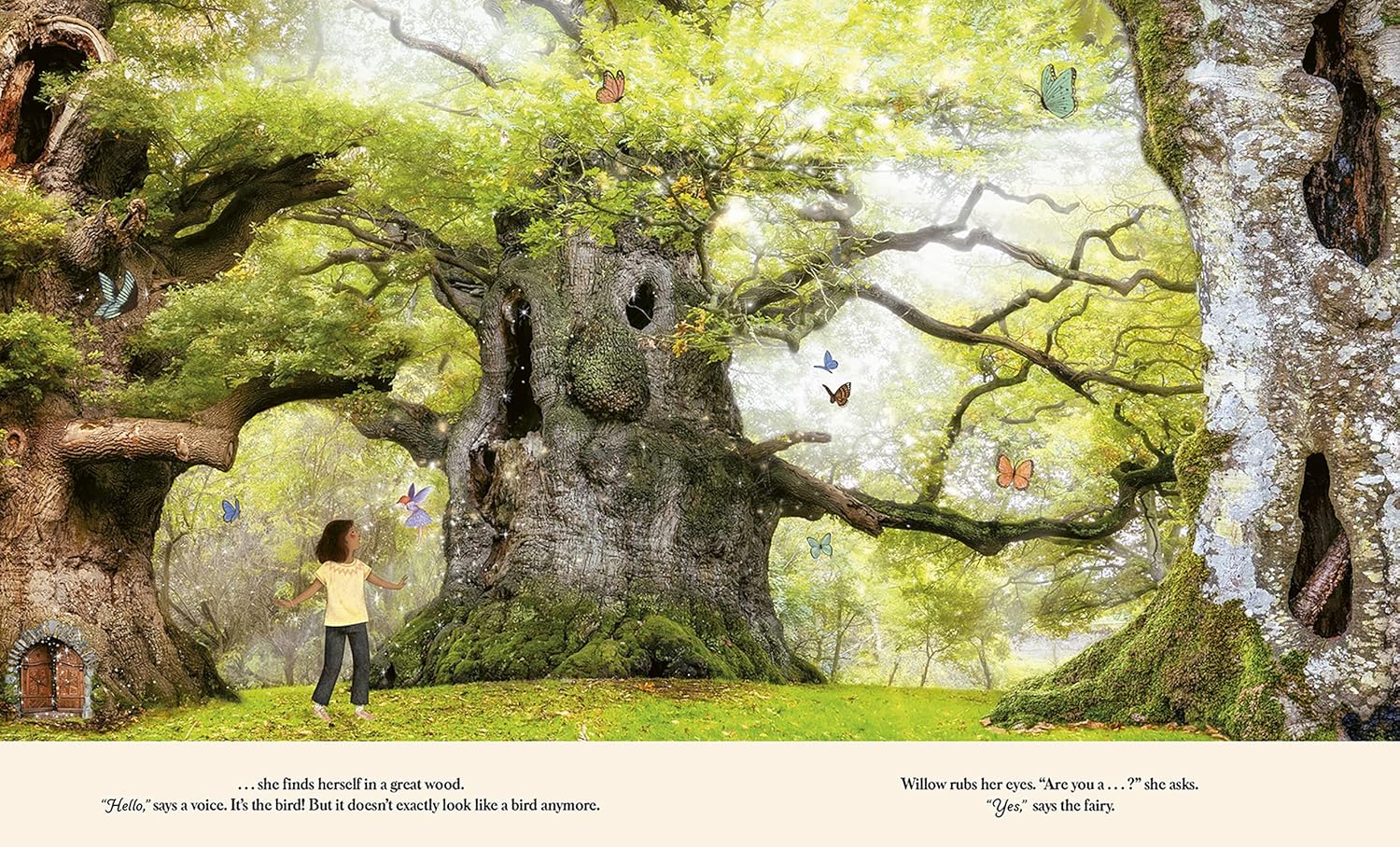 Through the Fairy Door: A Picture Book - Image 2