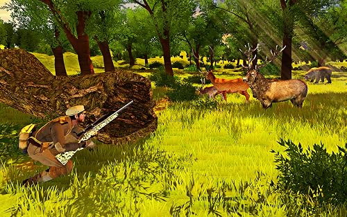 Deer Hunt Sniper Shooter Animal Hunter Games #TOP1