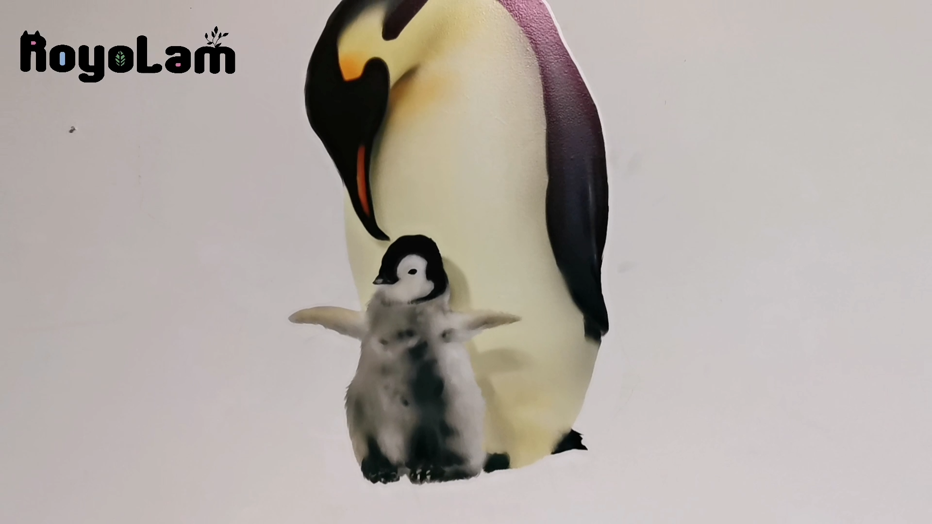 Vinilo decorativo pingüino animal autoadhesivo removible miniatura 7