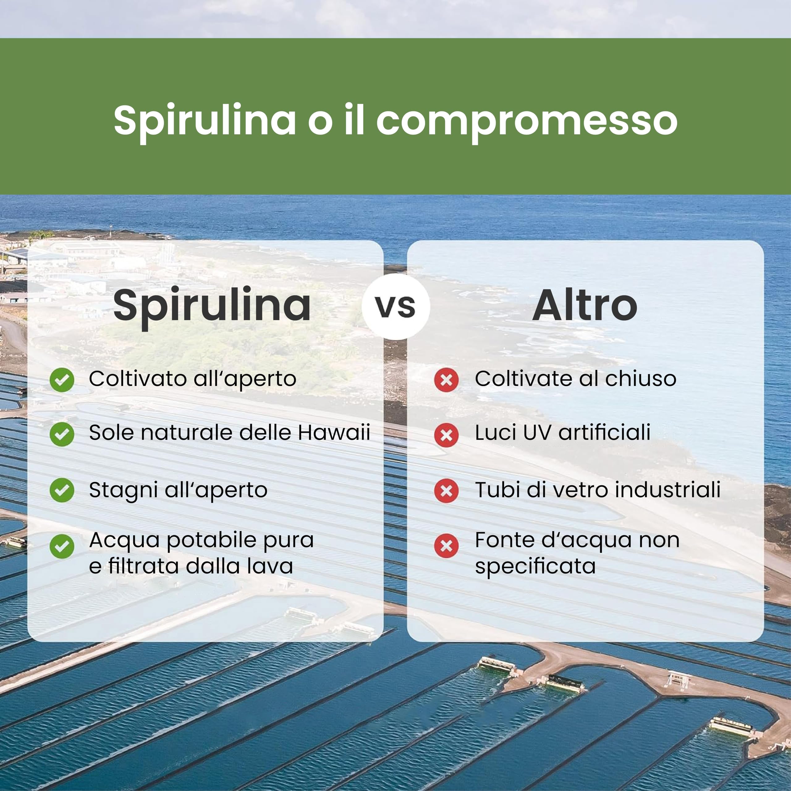 Nutrex Hawaii, Pure Hawaiian Spirulina, 454 g di Polvere Vegana, Testato in Laboratorio, Senza Glutine, Senza Soia, Vegetariano