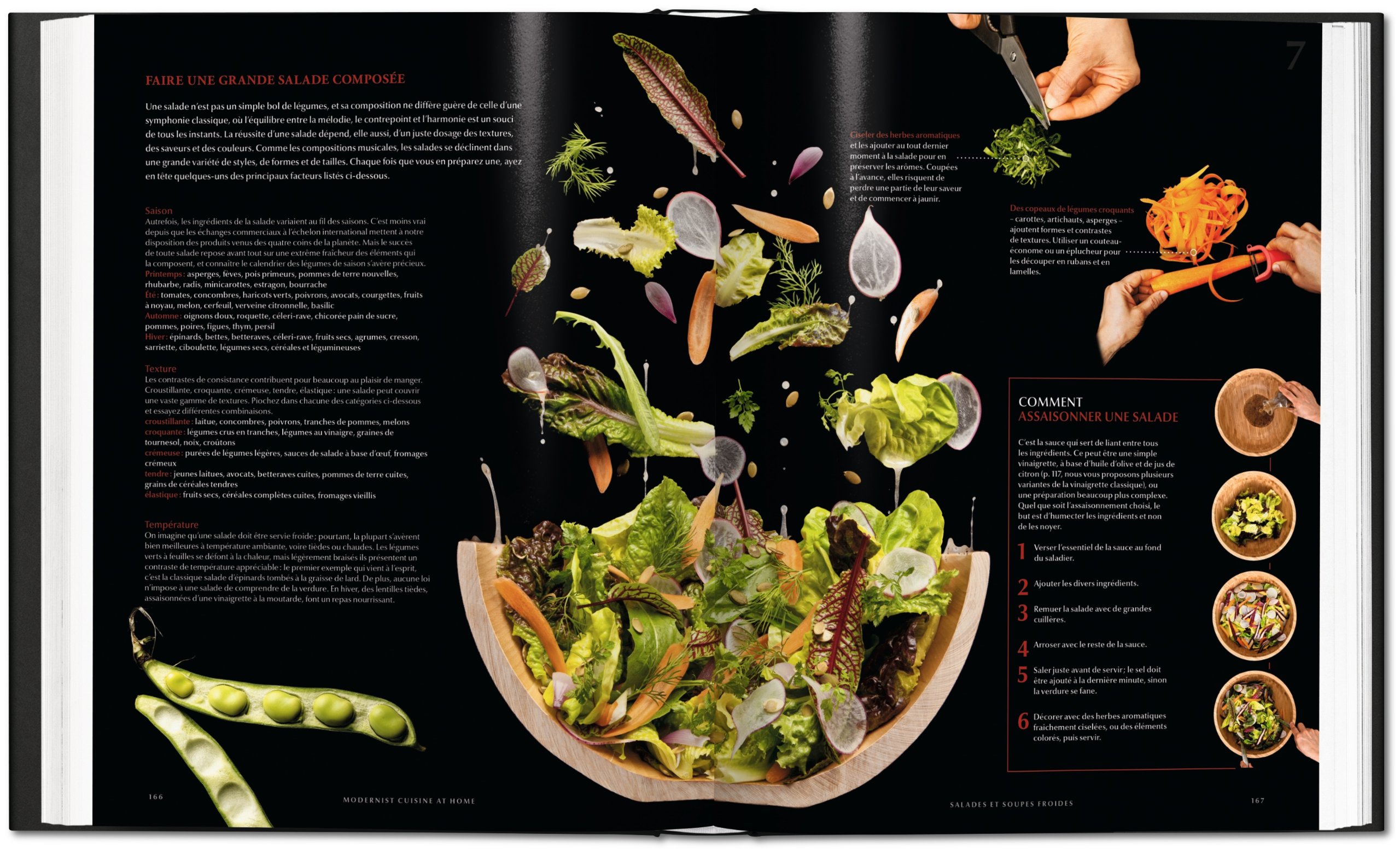 Modernist Cuisine at Home (Français)