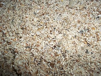 Hi Live Reef Soil Sand Fish Aquarium Water 2Li Stone Gravel Pebbles Decoration