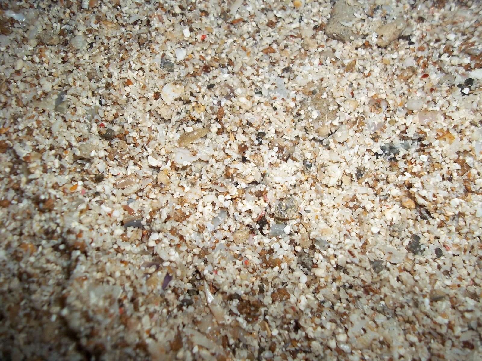 See full amazon price history chart for Hi Live Reef Soil Sand Fish Aquarium Water 1Li Stone Gravel Pebbles Decoration Hi Live Reef Soil Sand Fish Aquarium Water 1Li Stone Gravel Pebbles Decoration (B0713PJC4M) Amazon Price History, Amazon Price Tracker