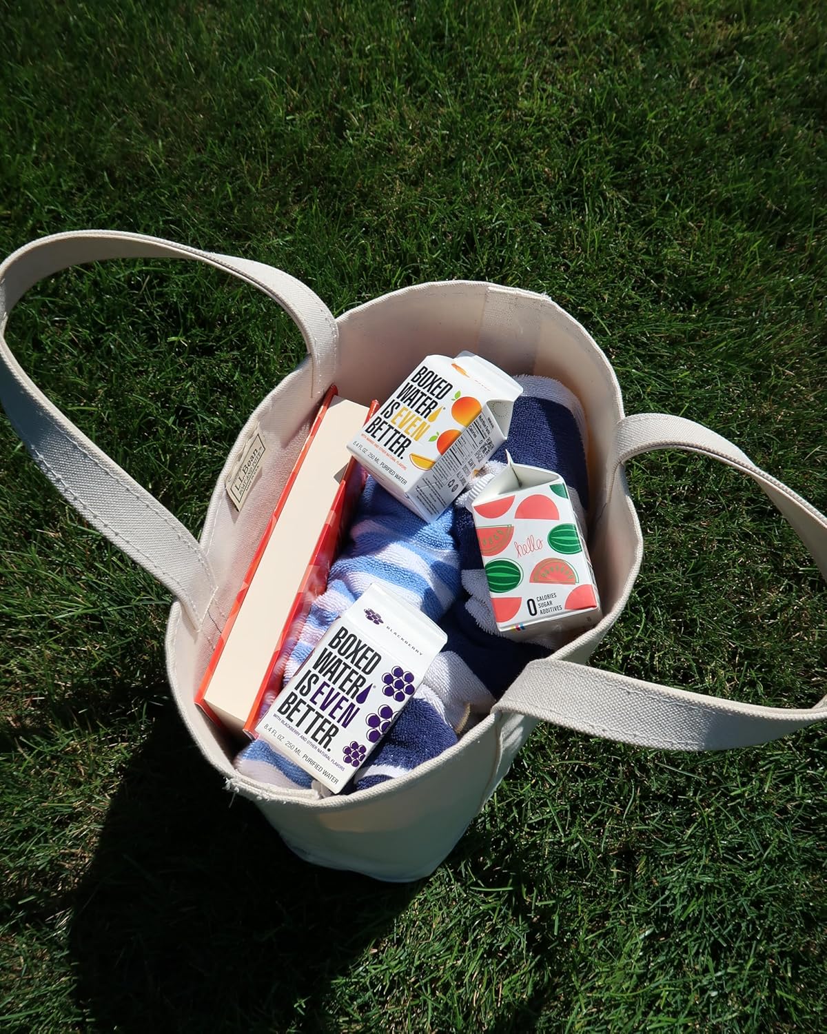 Mini Watermelon Boxed Water 8.5 oz. (24 Pack) – Better Than Premium Plastic, Plant-Based Cartons, BPA-Free, Refillable, Lunchbox Ready