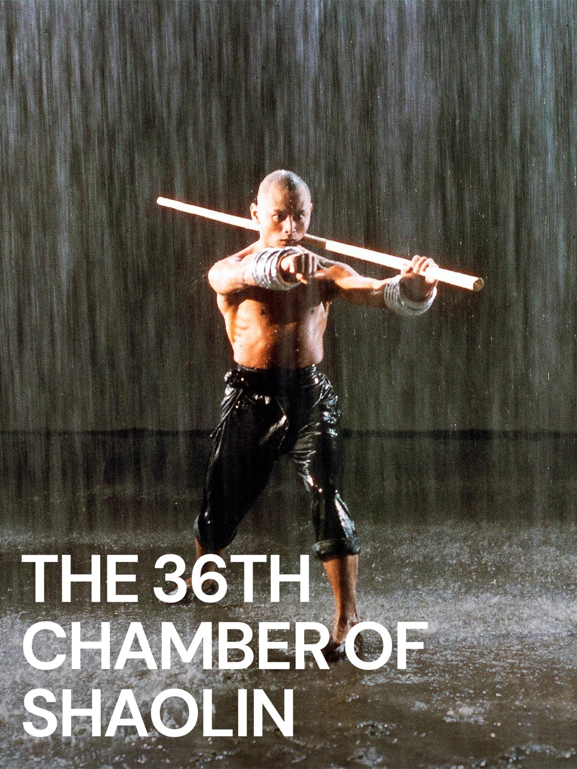 The 36th Chamber of Shaolin