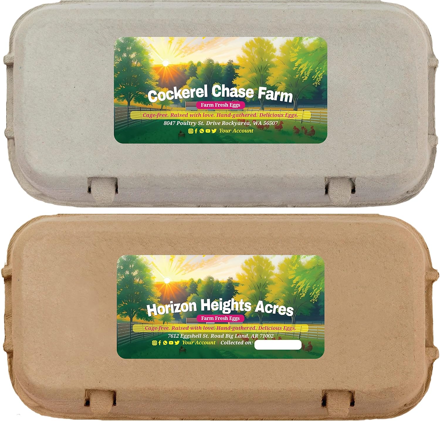 100 Sheets - VOL.1 - Custom Egg Carton Labels 4" x 2" Sticker Decal, Farm Fresh Eggs, Chicken Duck Quail, Personalize for Coop Supplies Clear Storing Extra Basket Box