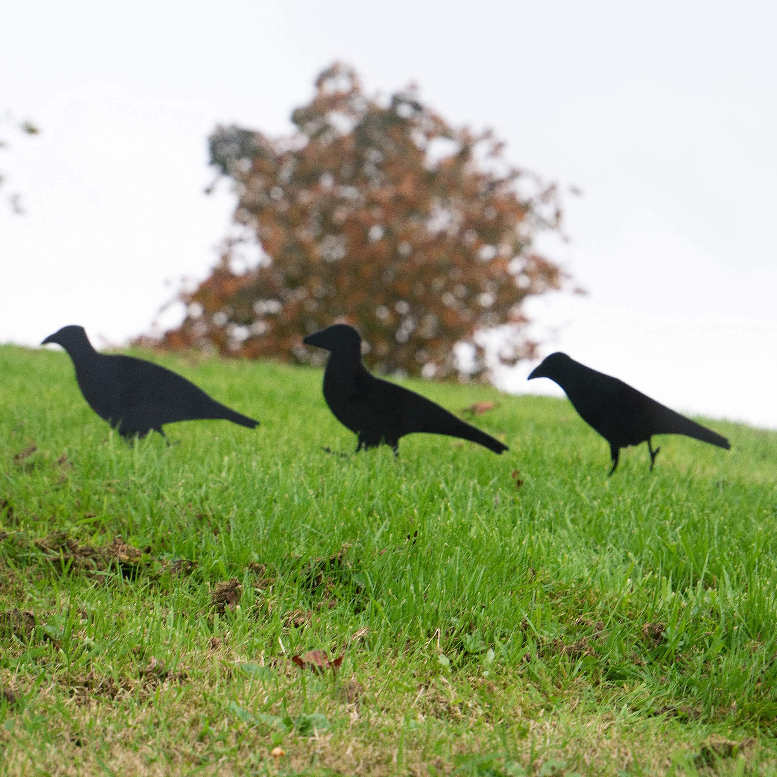 Garden Mile 3-Piece Crow Shooting Target Set - Steel, Self-Reset, Freestanding - Air Gun, Rifle, Airsoft Gun Targets