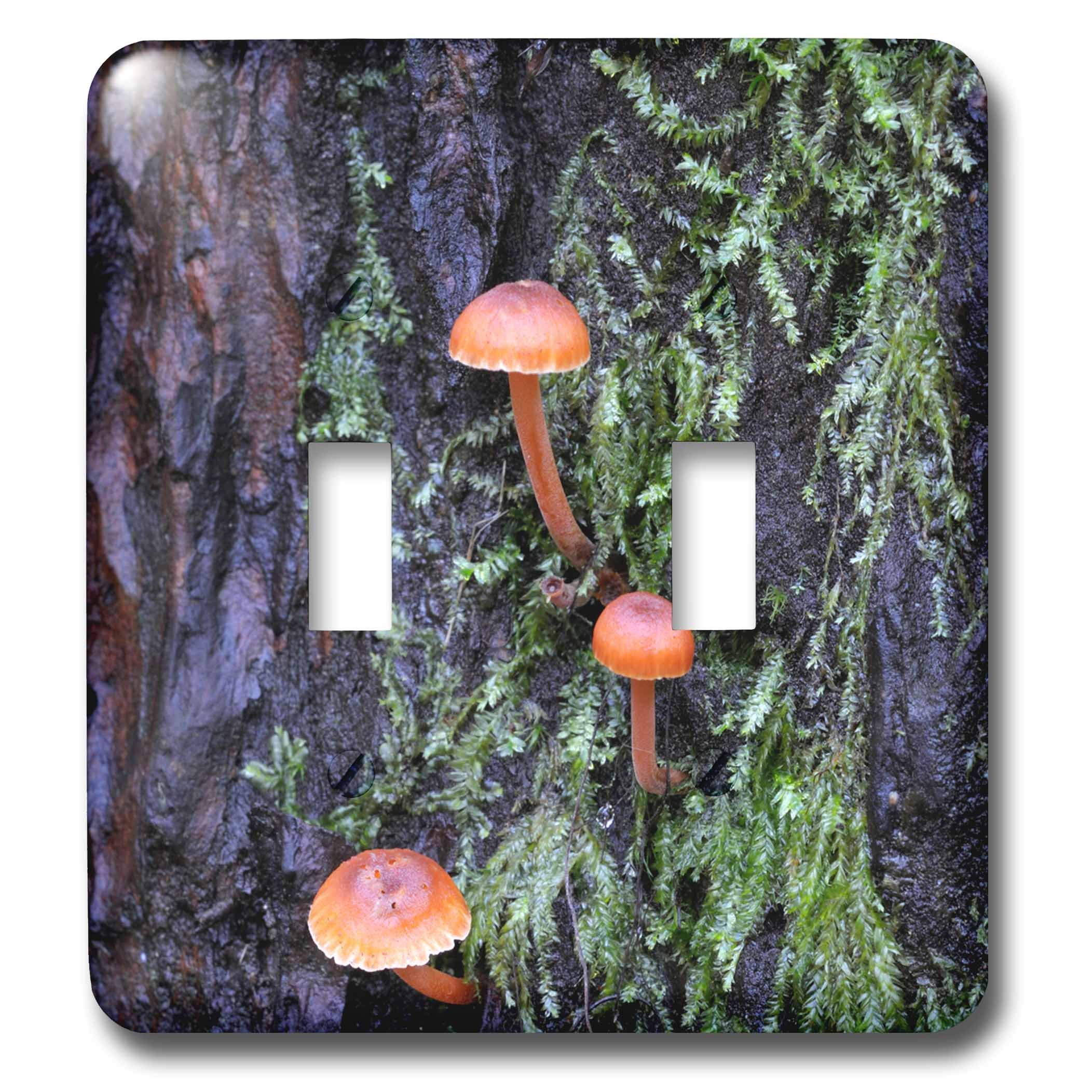 Interruptor de luz doble decorativo para paredes aburridas modelo 3D Rose