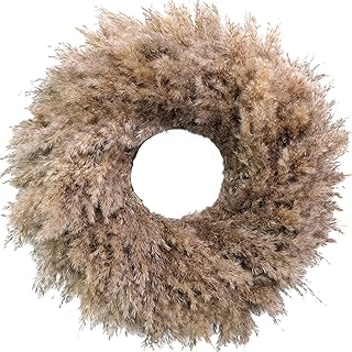 Natural Pampas Grass Wreath, 20'' Real Pampas Wreath for Front Door, Boh...