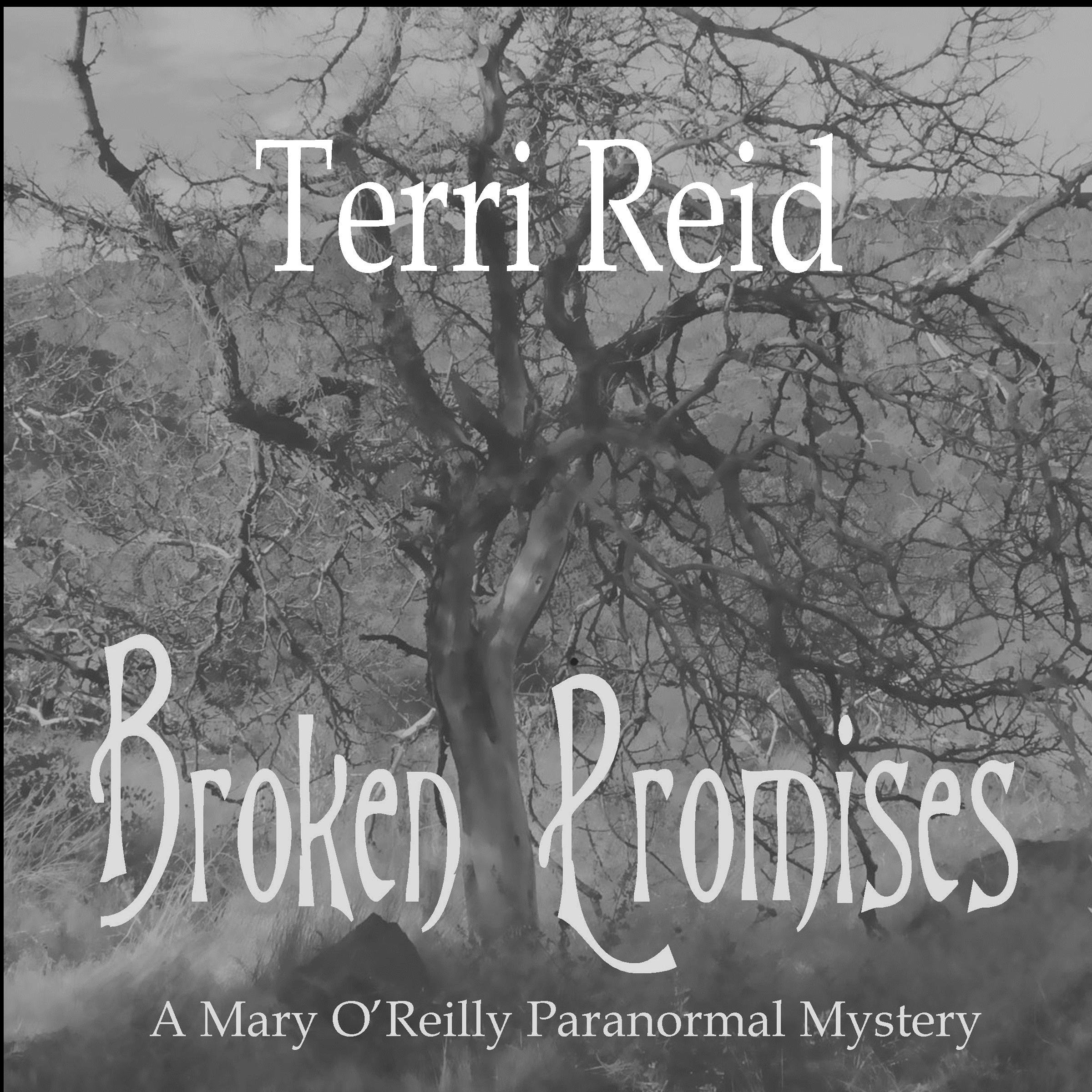 Cover art for Broken Promises: Mary O'Reilly Paranormal Mystery, Book 8