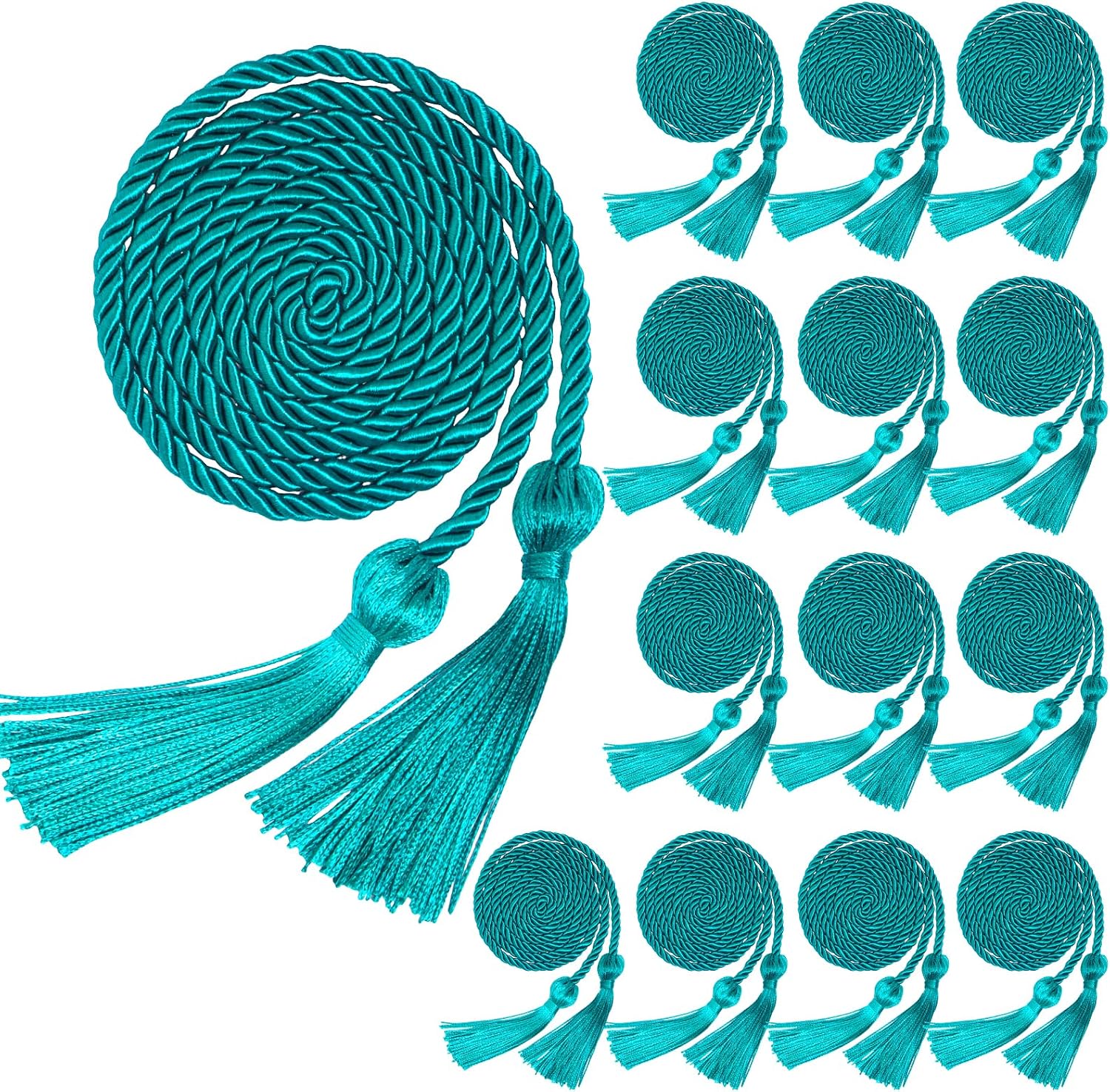 14 Pieces Graduation Teal Honor Cord Bulk Braided Honor Cord Tassel for Graduation Students Bachelor Master Graduates Photography Grad Days Decor