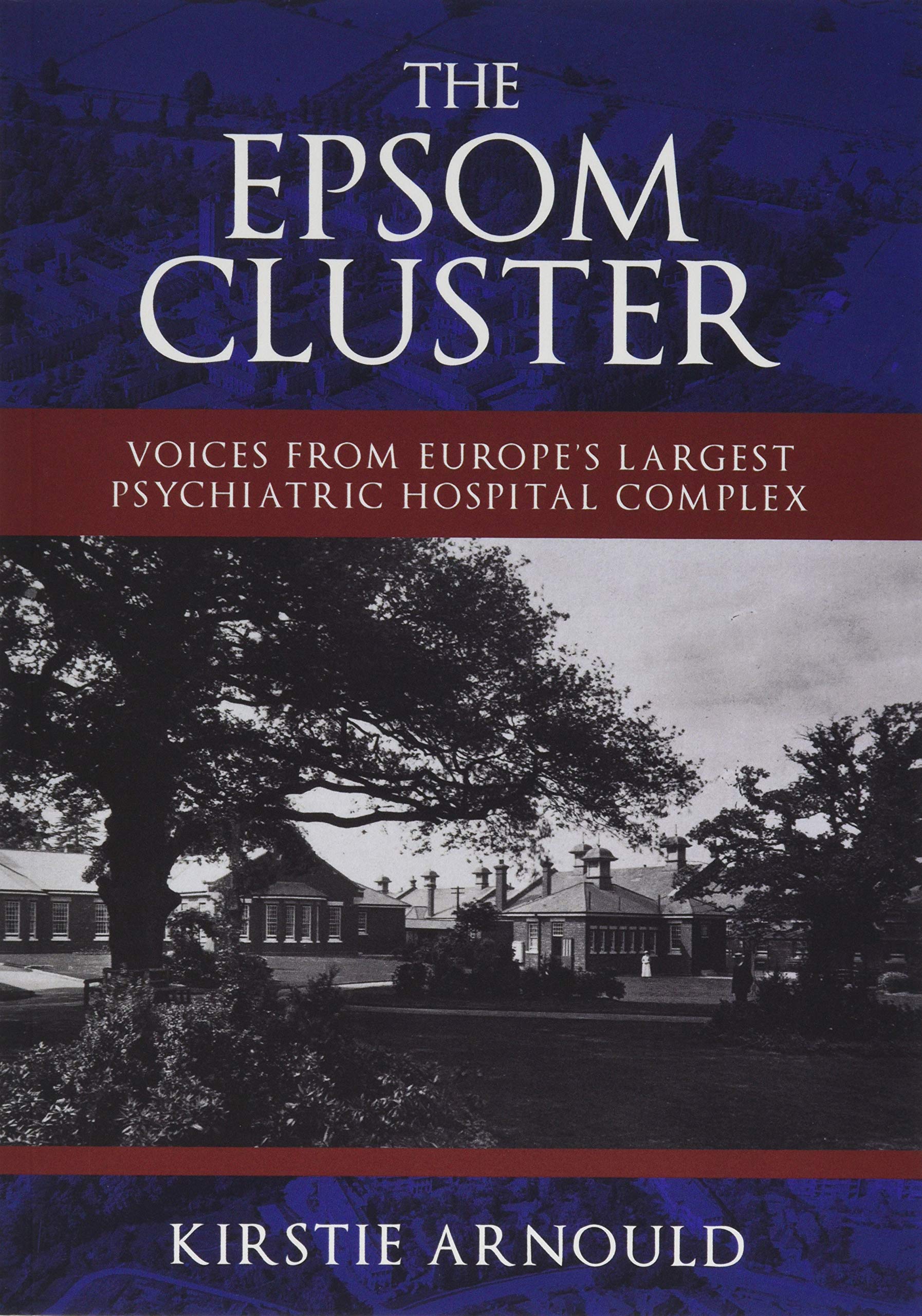 The Epsom Cluster: Voices from Europe's Largest Psychiatric Hospital Complex