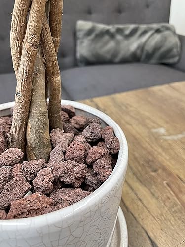 Miniatura 2 de KAYSO INC - Rocas de lava decorativas para paisajismo o pozos de gas, 34 pulgadas (.75 pulgadas) (40 libras, roca de lava roja)