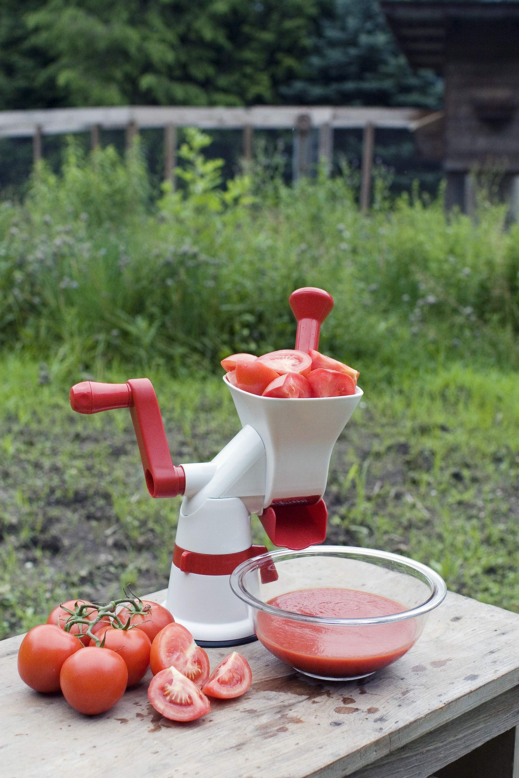 Amazon.com: Weston Fruit & Tomato Press, 3 Cup Capacity, Red and