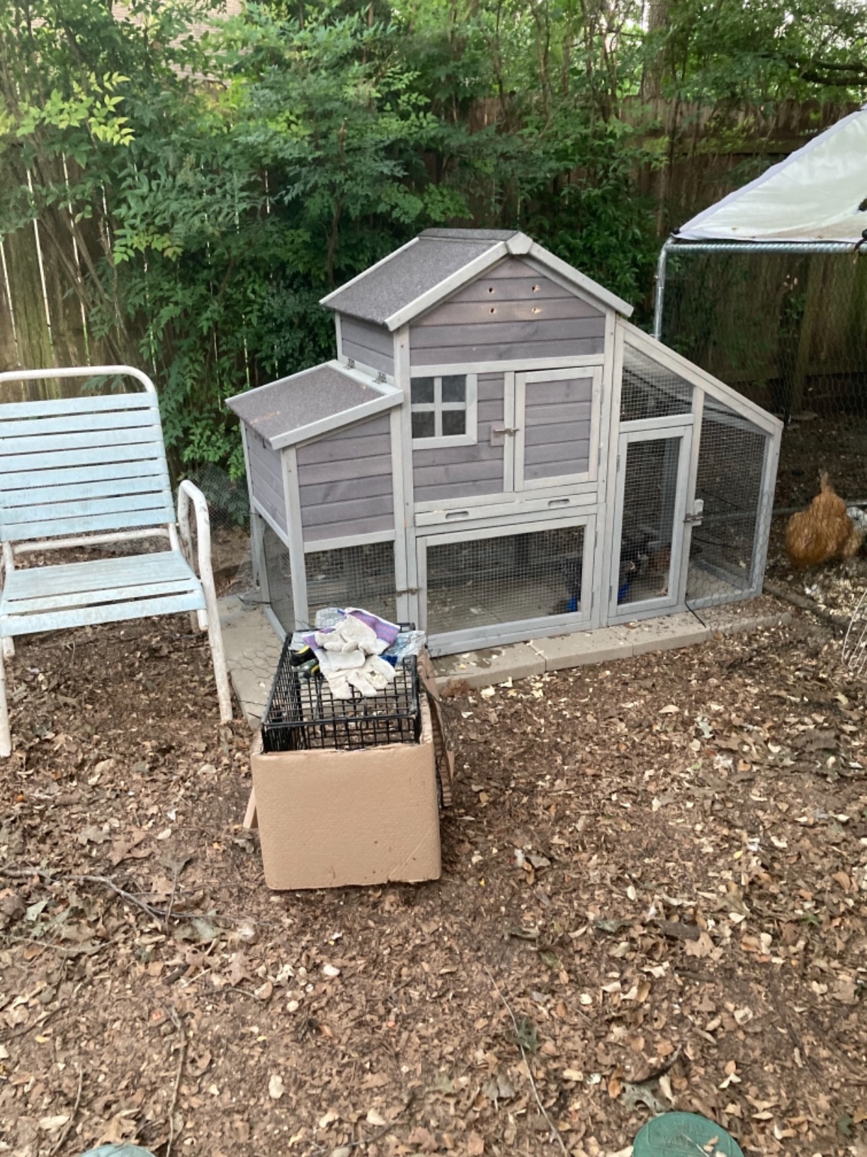 25/mo Finance Chicken Run Chicken Coop Extension, Walkin Poultry Cage Hen Run, Outdoor