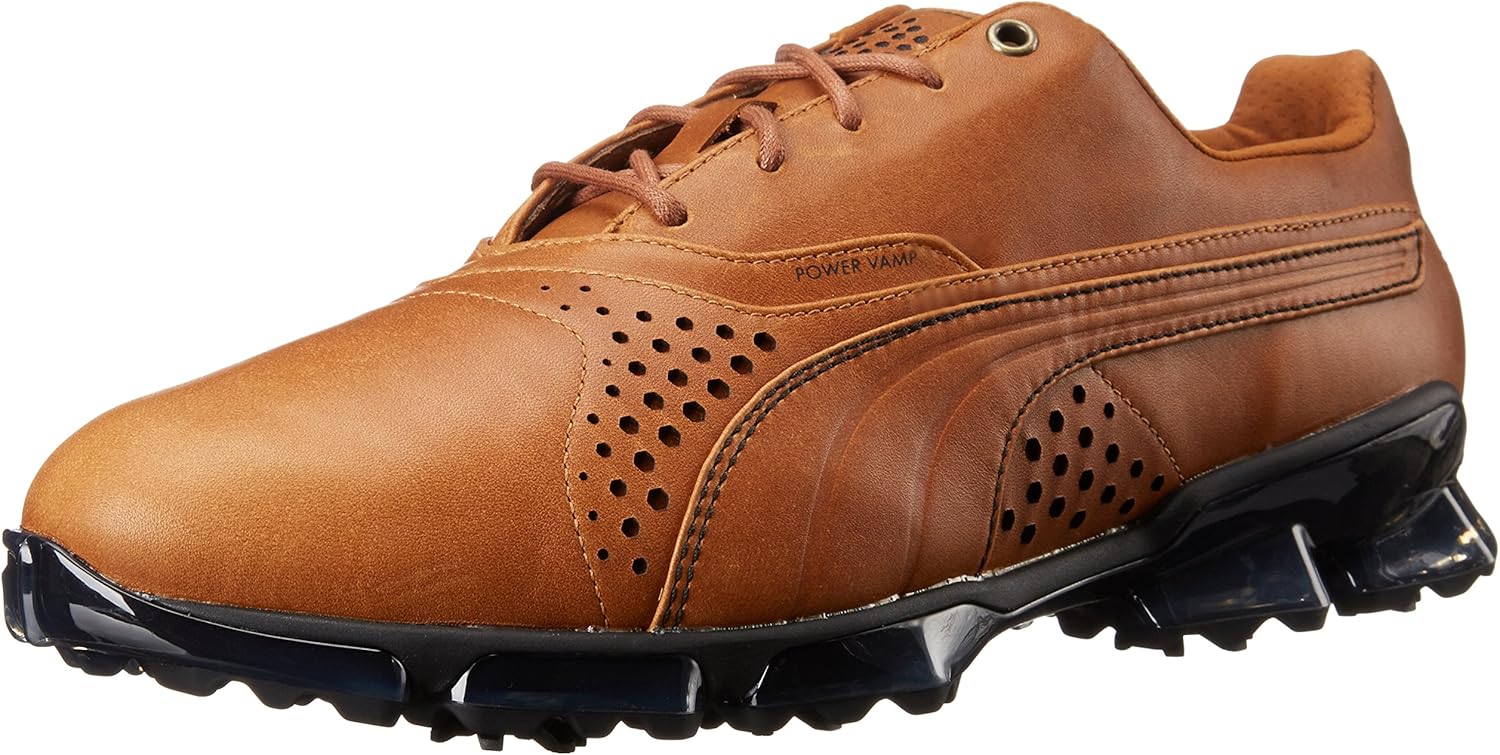 PUMA Men's Titantour Golf Shoe