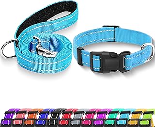 Collar reflectante para perro con hebilla de bloqueo de seguridad, collares de nailon suaves y transpirables ajustables para perros pequeños, medianos y grandes (collar + correa XS de ancho de 5