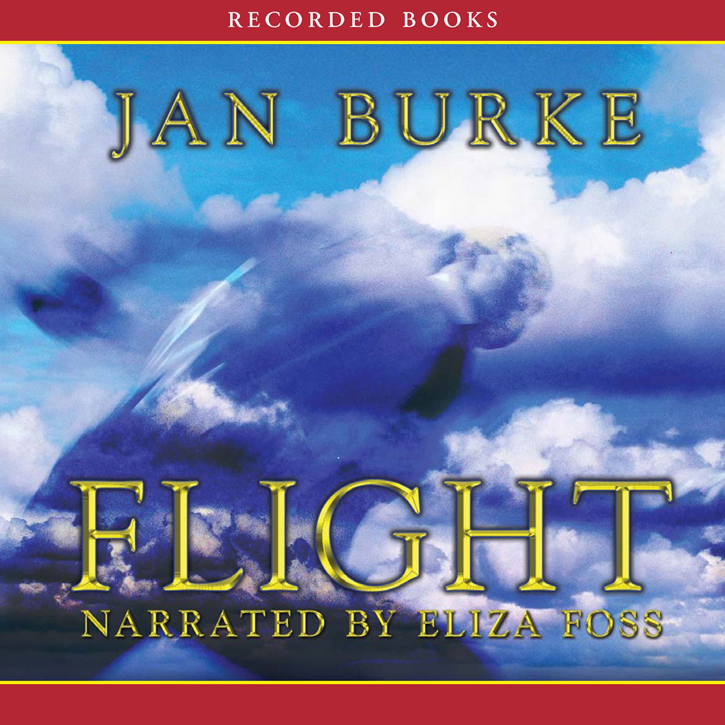 Cover art for Flight