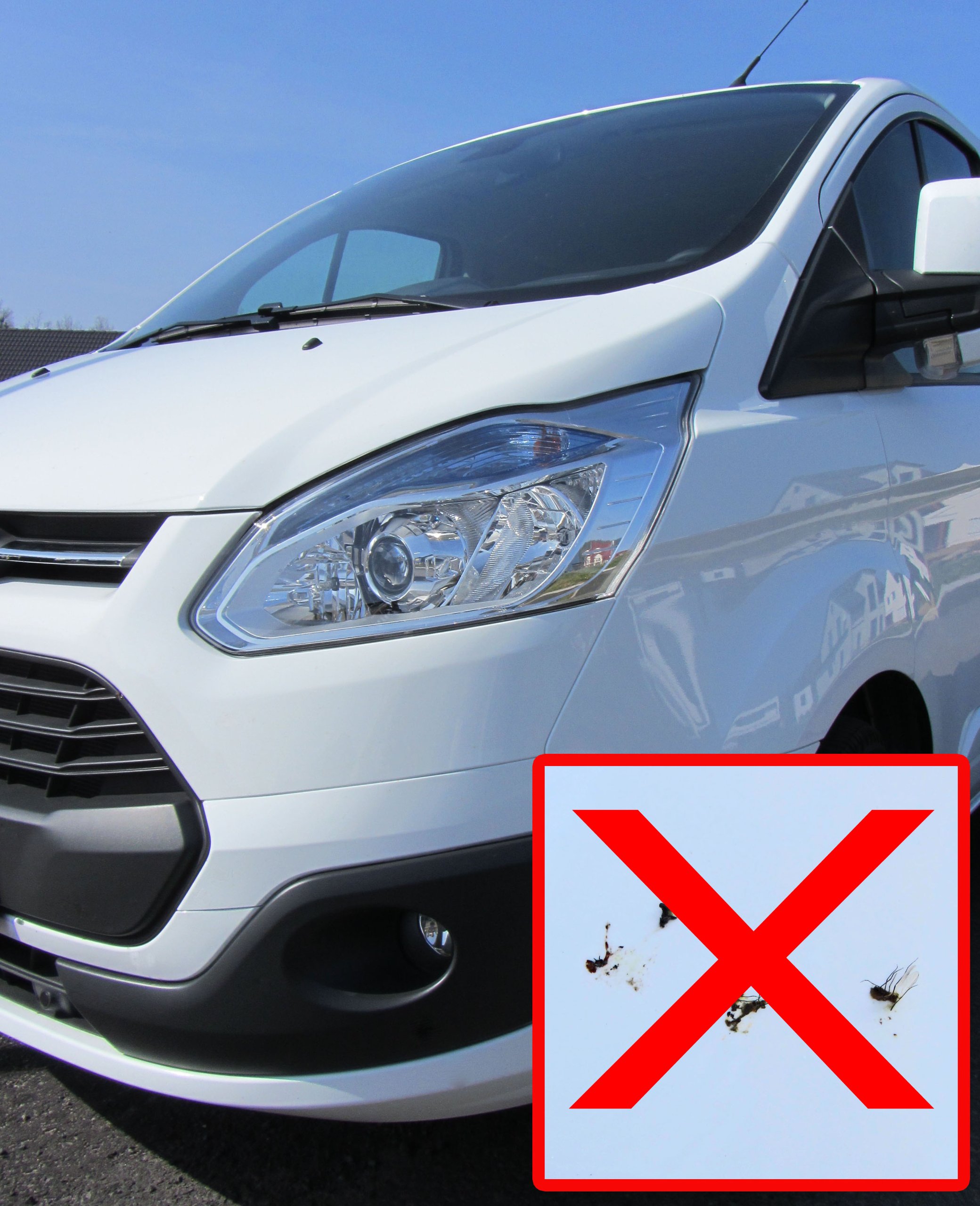 Insektenentferner Konzentrat 10 Liter Kanister | CP100180 Insektenlöser Autowäsche Reiniger Reinigung Vorbehandlung CleanPrince Lack Glas Chrom Kunststoff Waschanlage Kfz PKW Fliegen Insekten Anti Ex Verschmutzung