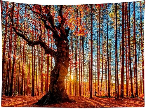 Miniatura 4 de LB Tapiz de bosque otoñal, tapiz de árboles de hojas de arce rojo amarillo otoñal para dormitorio, tapiz de paisaje natural para dormitorio,