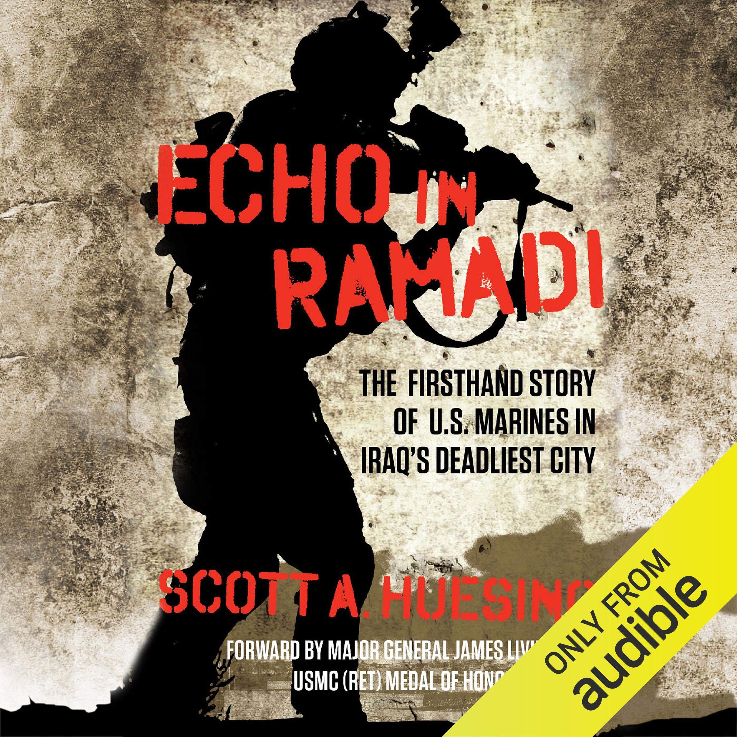 Cover art for Echo in Ramadi