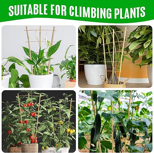 Miniatura 4 de SWANGSA Paquete de 6 enrejados de bambú de 24 pulgadas para plantas trepadoras, enrejado de bambú en forma de abanico, pepino, tomate, enrejado con