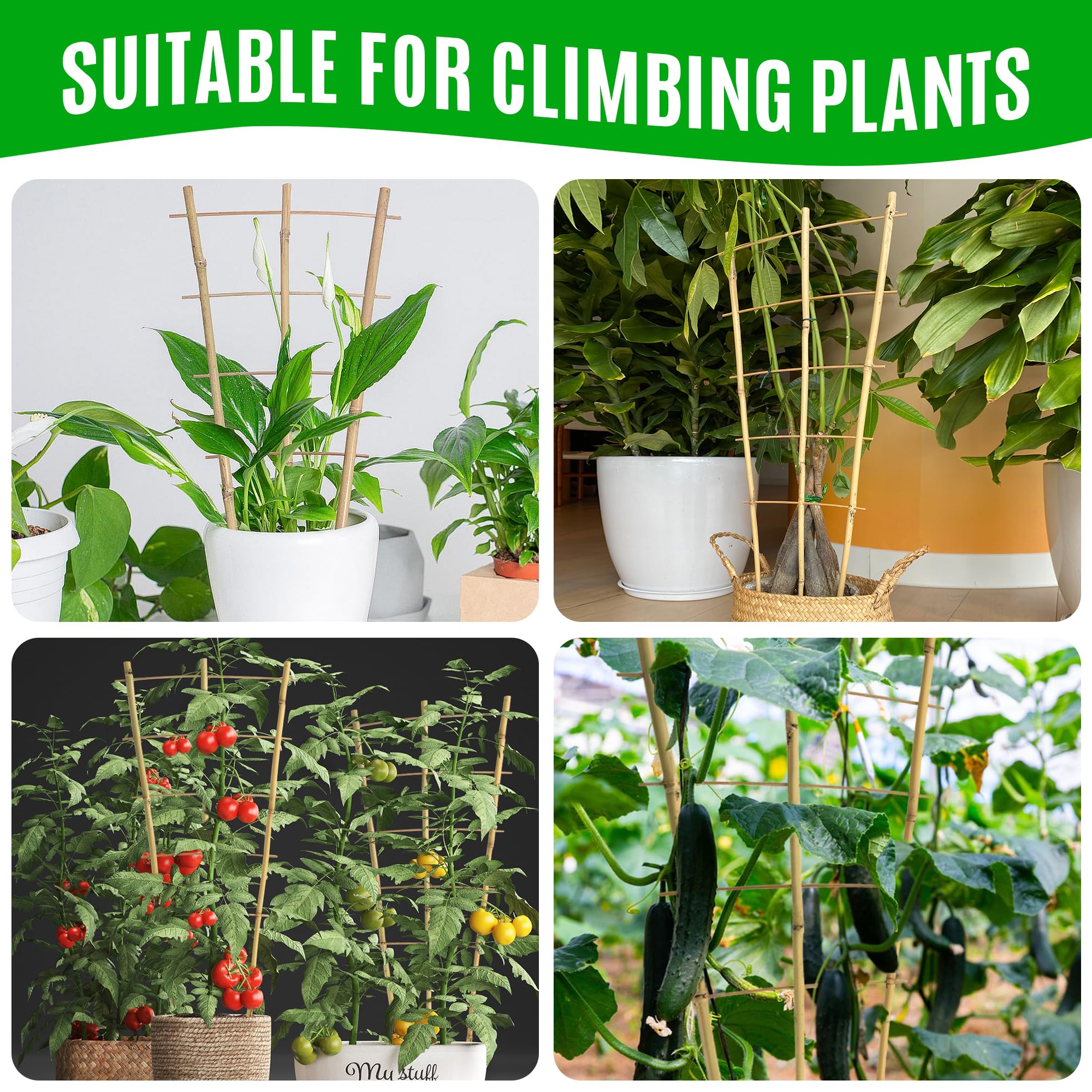 SWANGSA Enrejado de bambú de 2 pies para plantas trepadoras, paquete de 6 enrejados de bambú en forma de abanico con 50 lazos giratorios para plantas en maceta de exterior e interior
